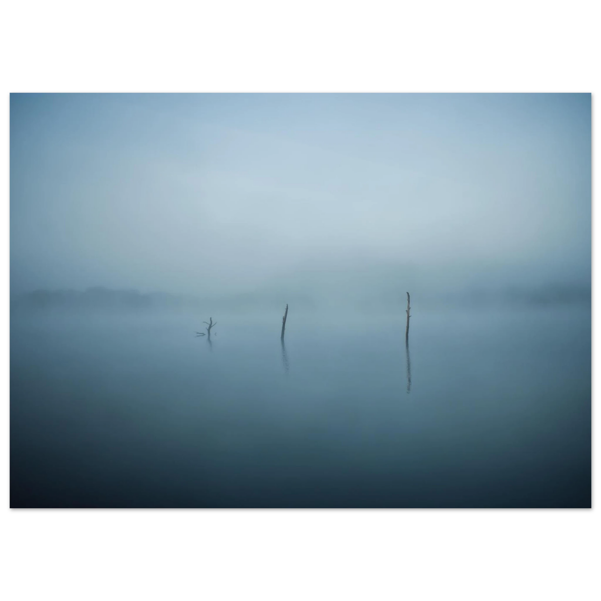 159a69c6-678d-4019-98c3-55f6d5ea308b