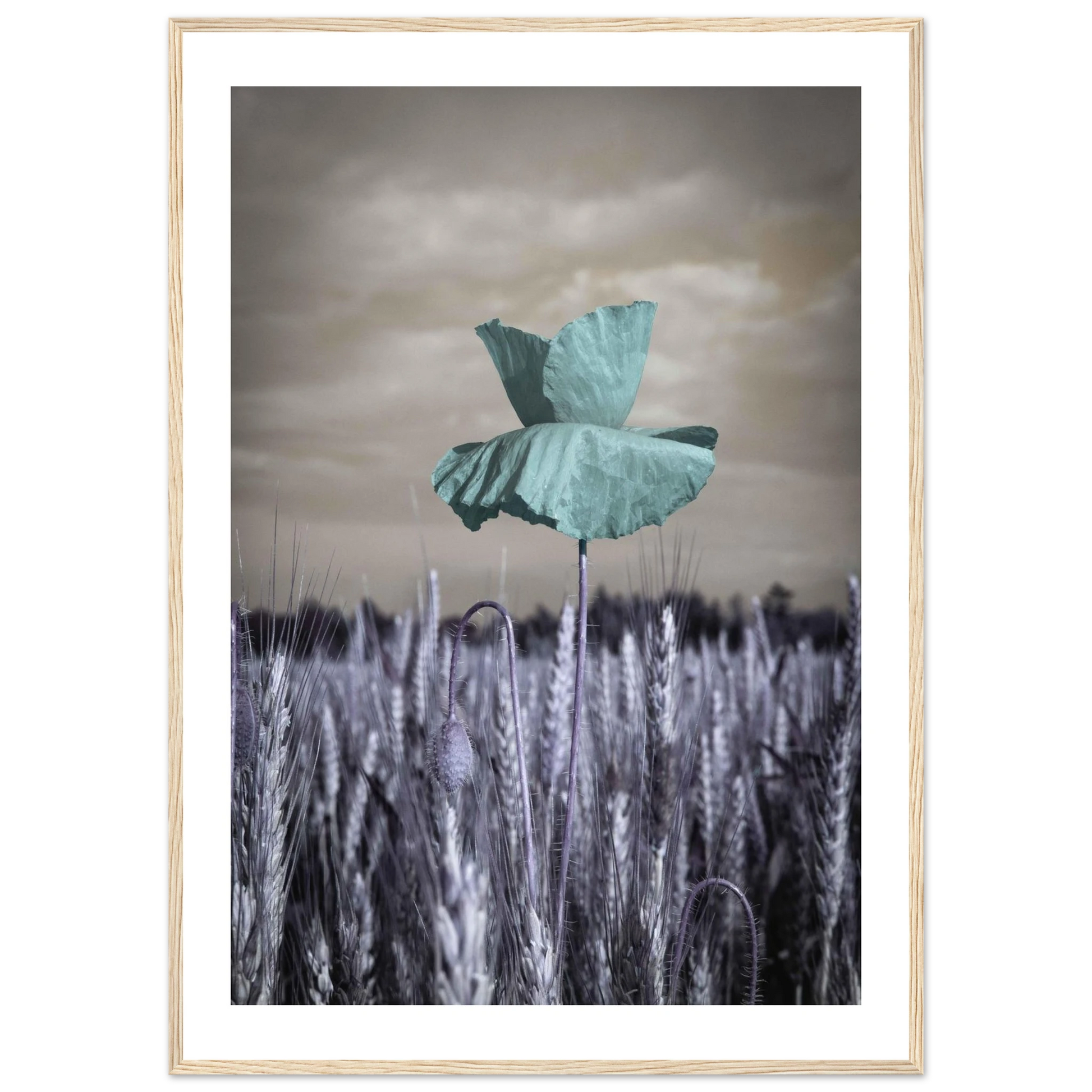 15a80dd5-f354-4e98-950d-abf3fb4728ba