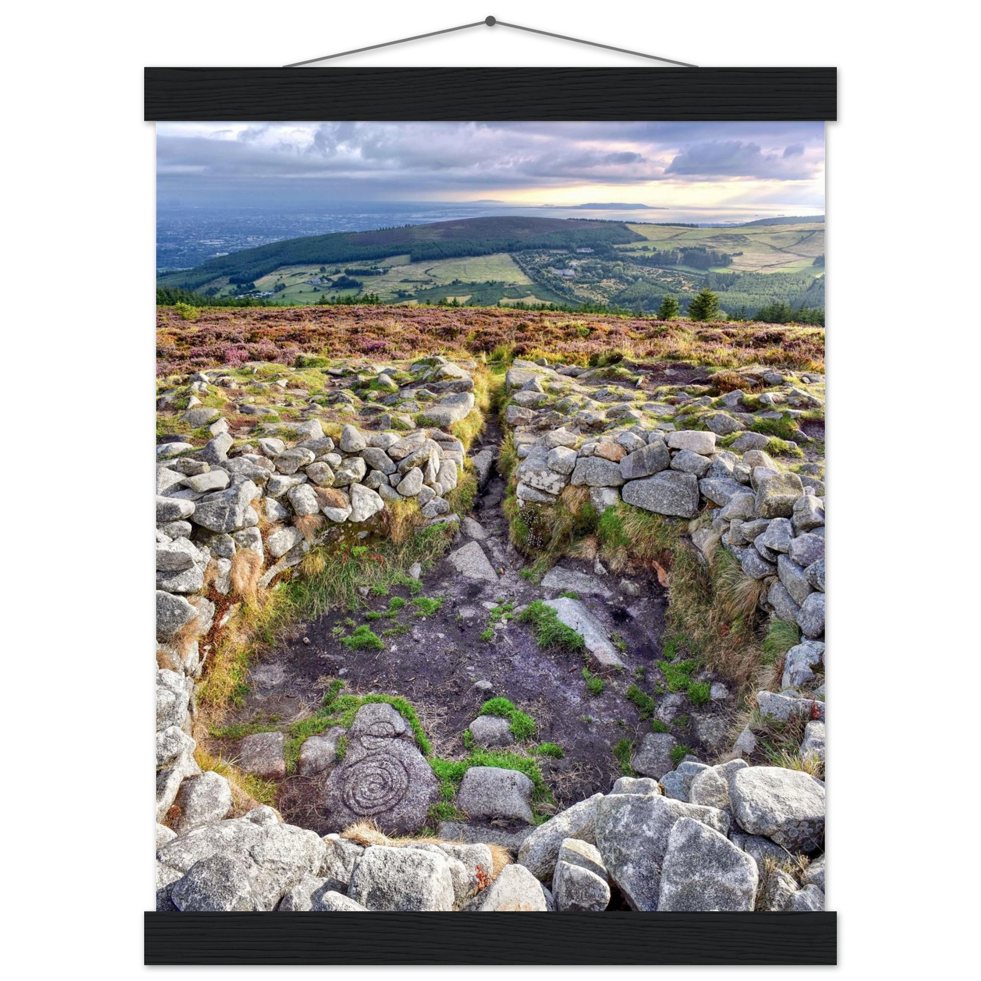 164bdc88-5e97-46a2-9498-e638bdf60448