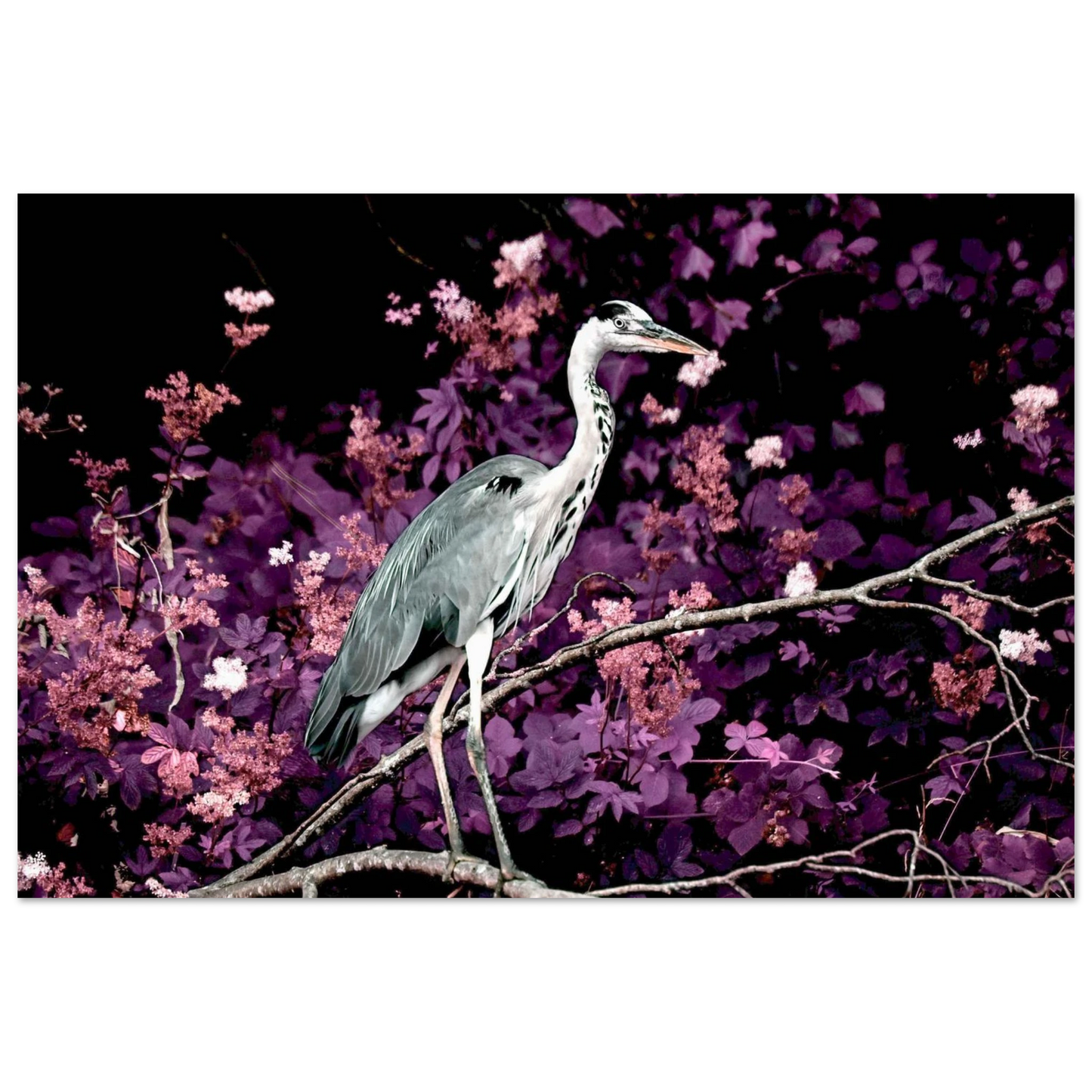 165ac1d5-bd07-44b4-a5fb-4230bd2acb76