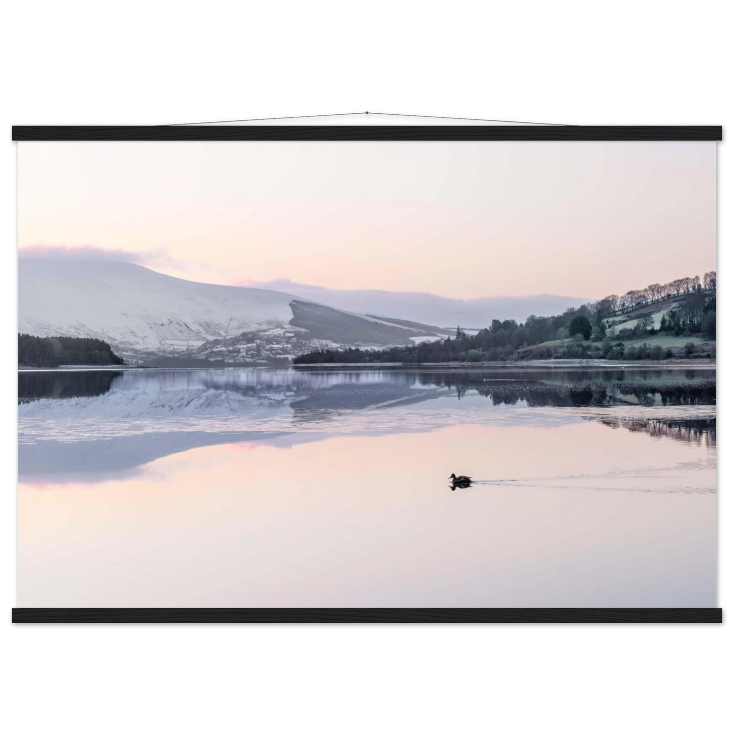 1674a439-fbc5-4fcb-baa9-dd80705a250b