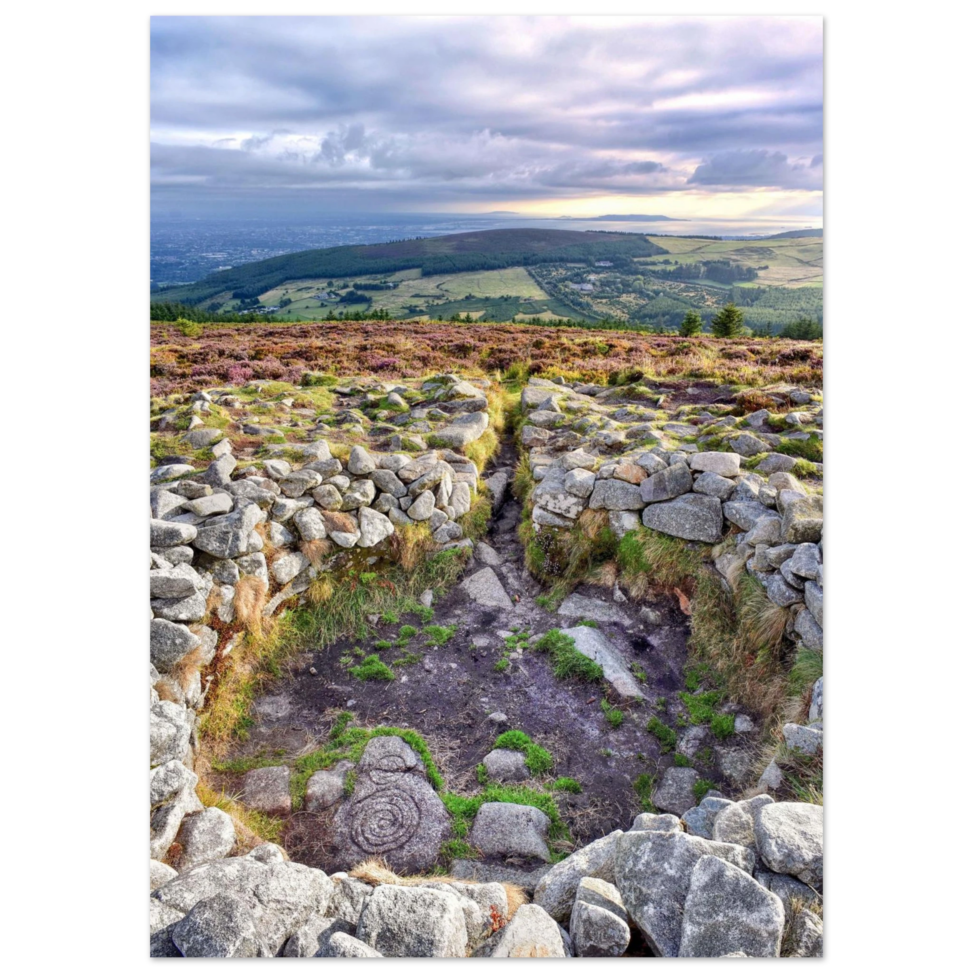 16a87b5b-6941-4e5f-a217-c566246c66c3