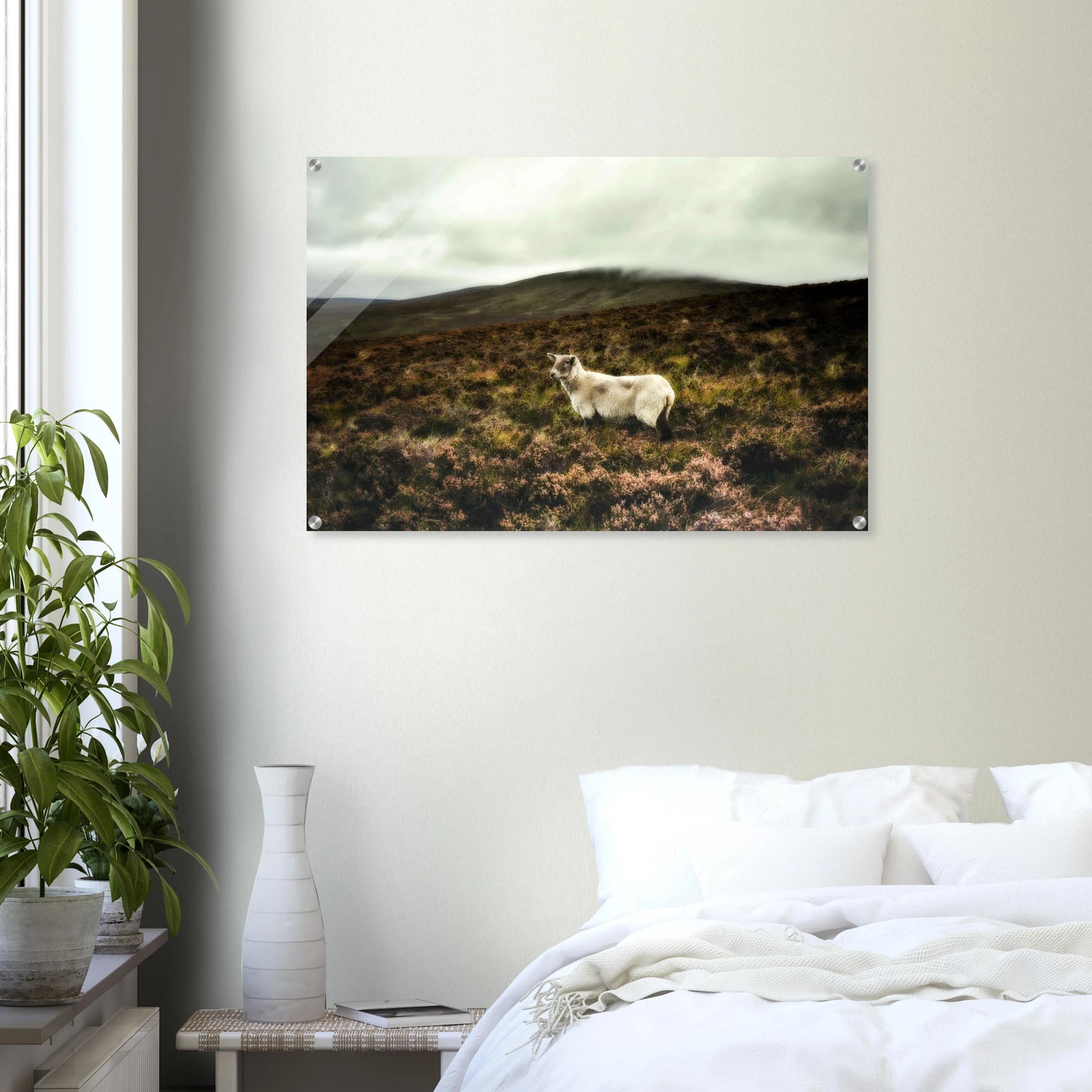 17824bc6-f233-497d-9a2e-79b8639c222a