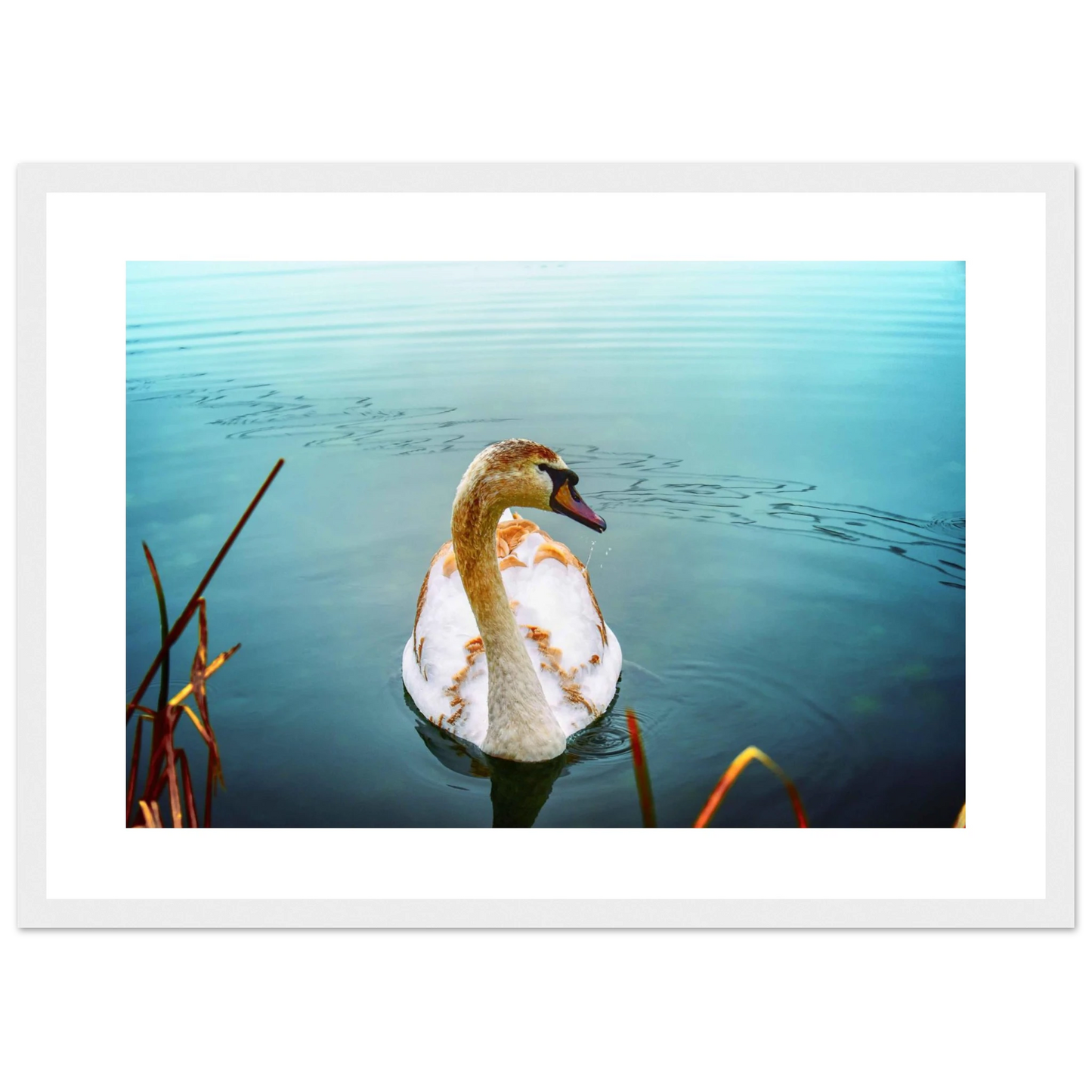 178c6a5d-79f8-4e16-a125-119c2915693f