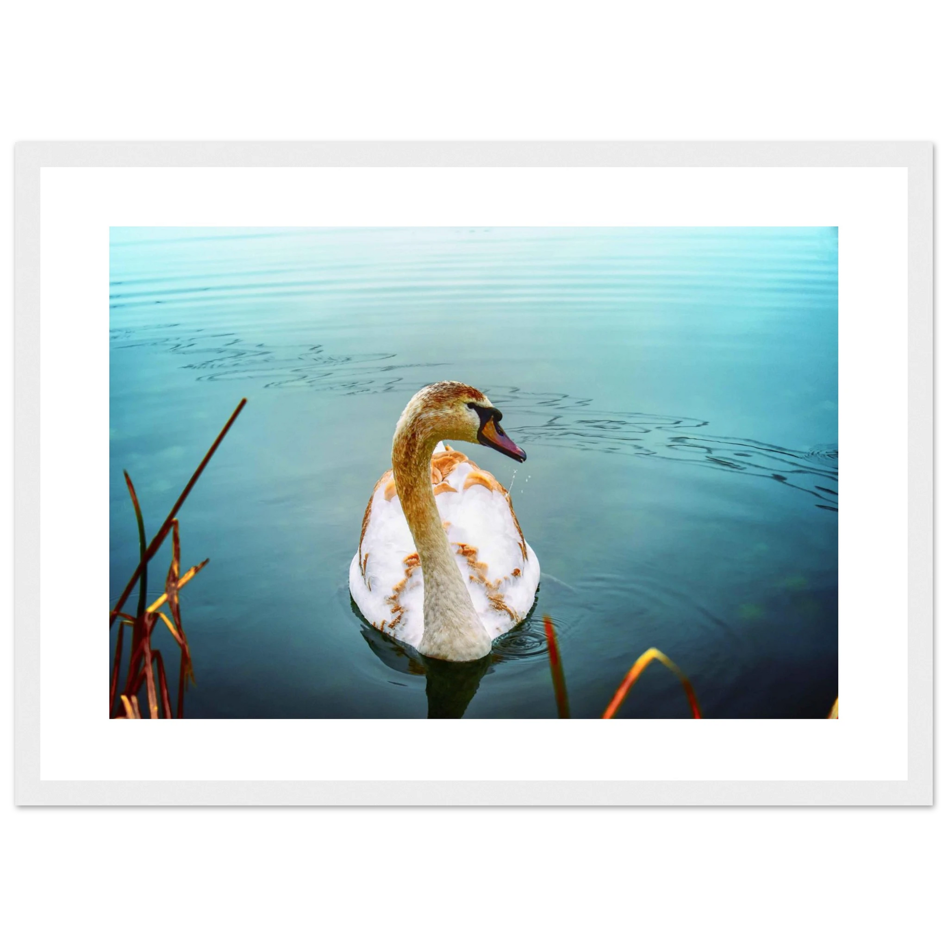 178c6a5d-79f8-4e16-a125-119c2915693f