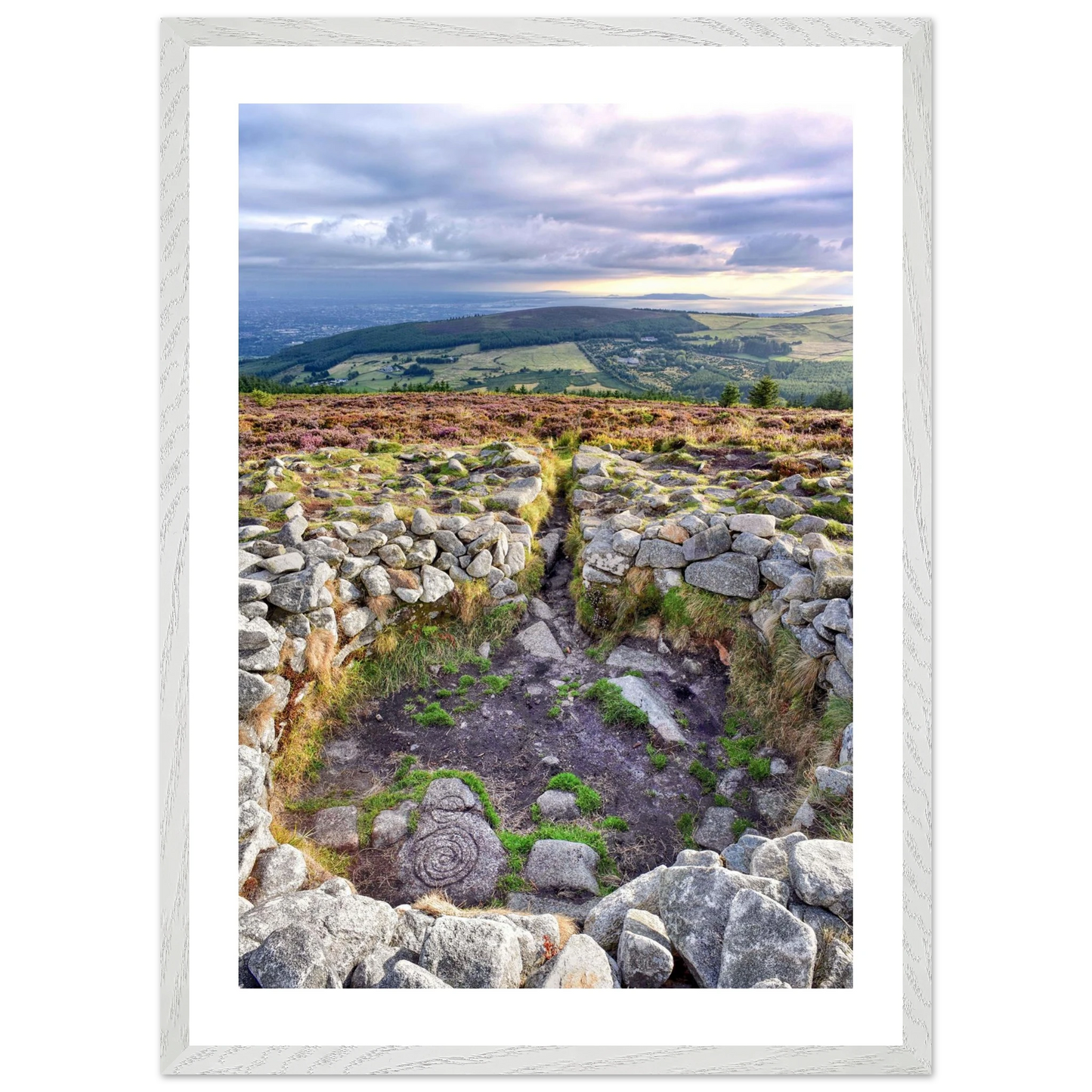 17b154fd-c53d-4462-b0a5-e1cbd0e270b0