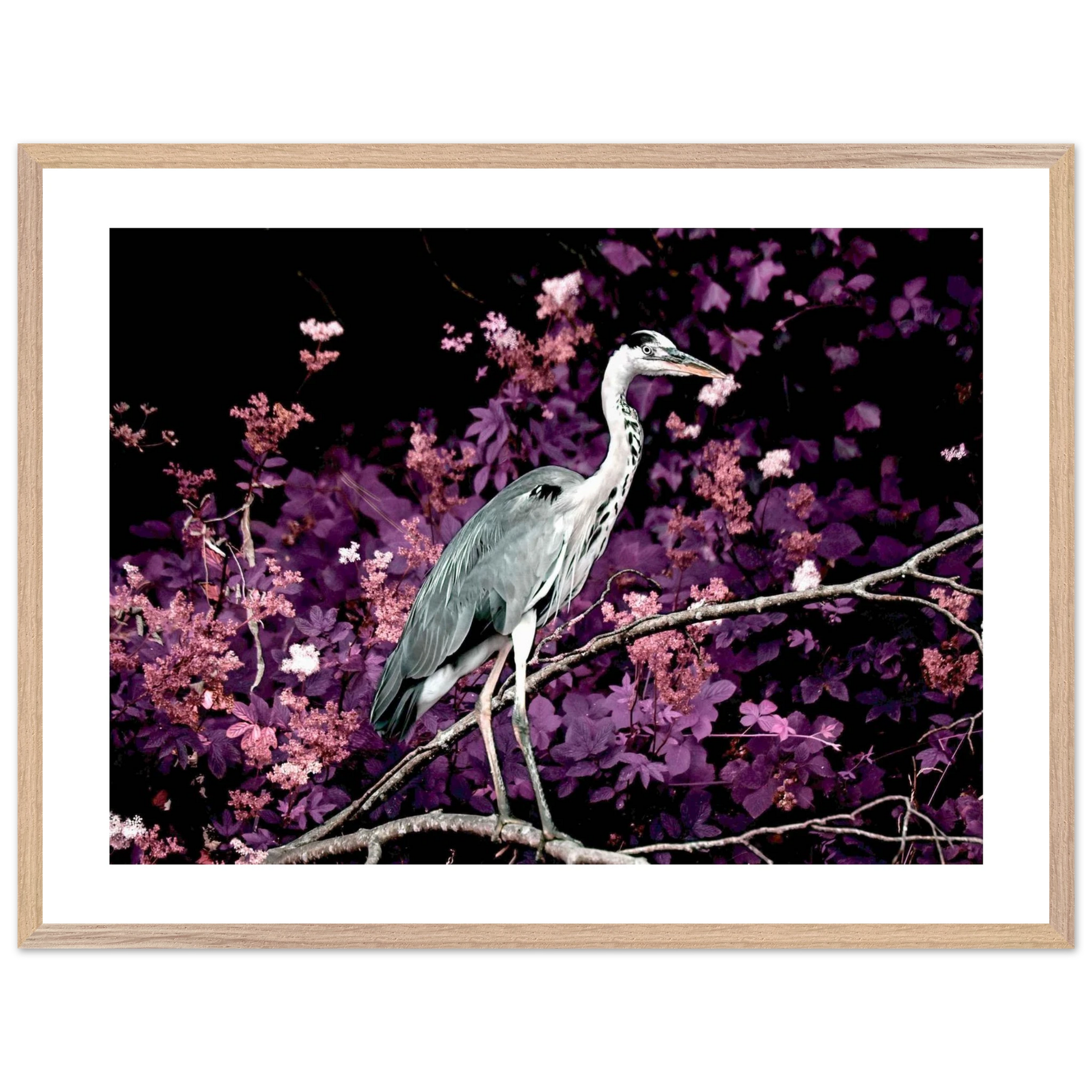 17c492bb-3360-4189-a4a8-1370095fe26e