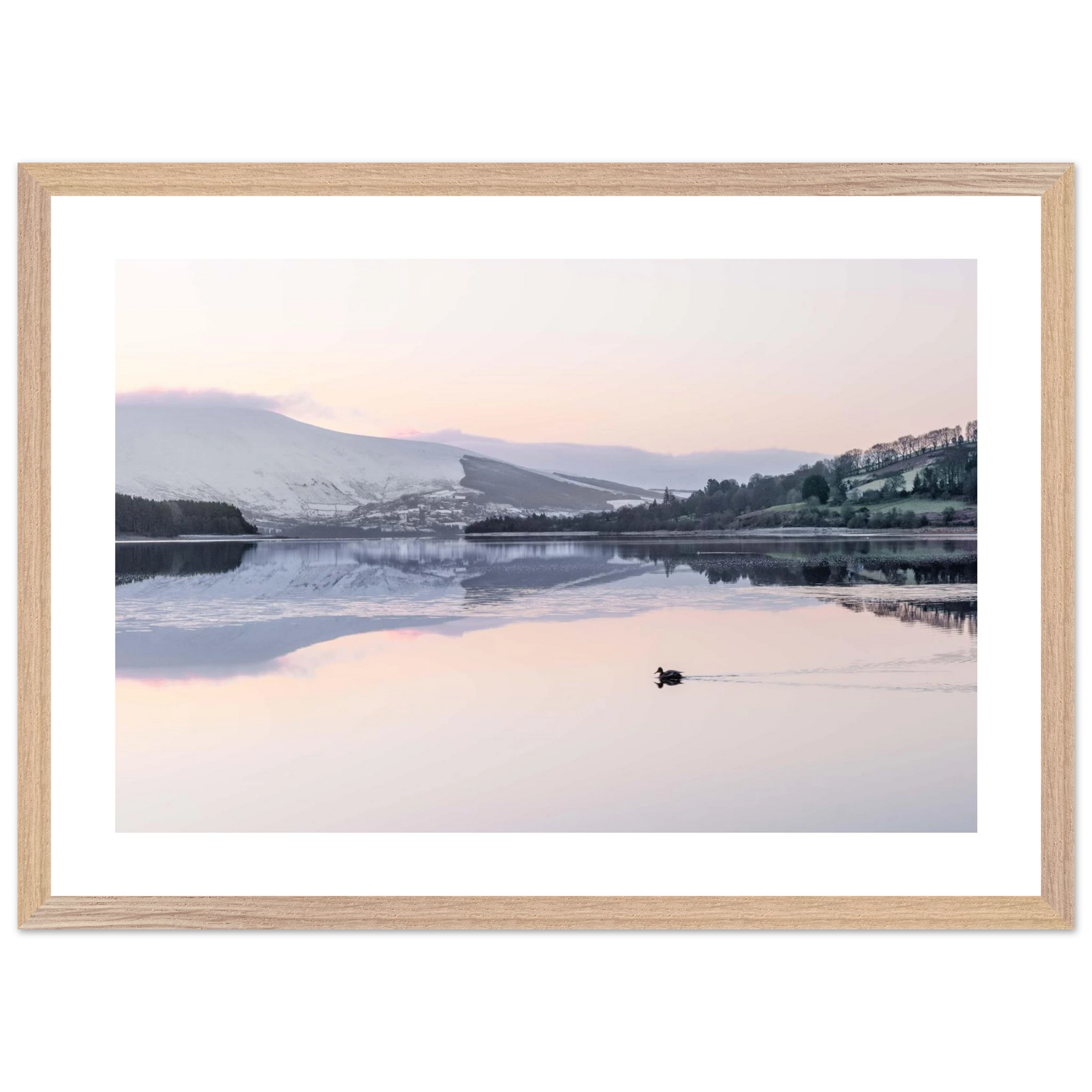 17f1ab13-00fc-44ba-8fe8-c9bfa3cdb521