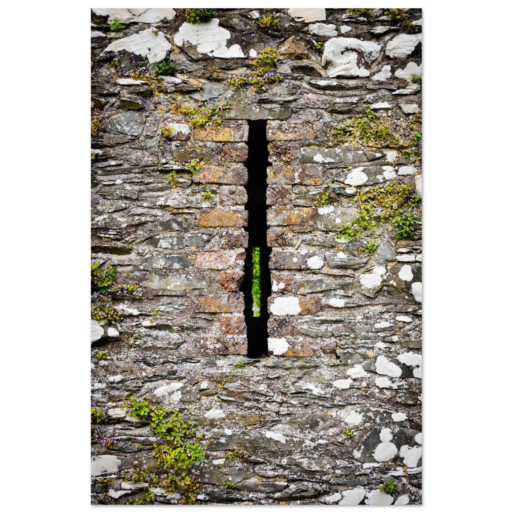 18033eaf-9b55-4c10-b6f2-5988256286a5