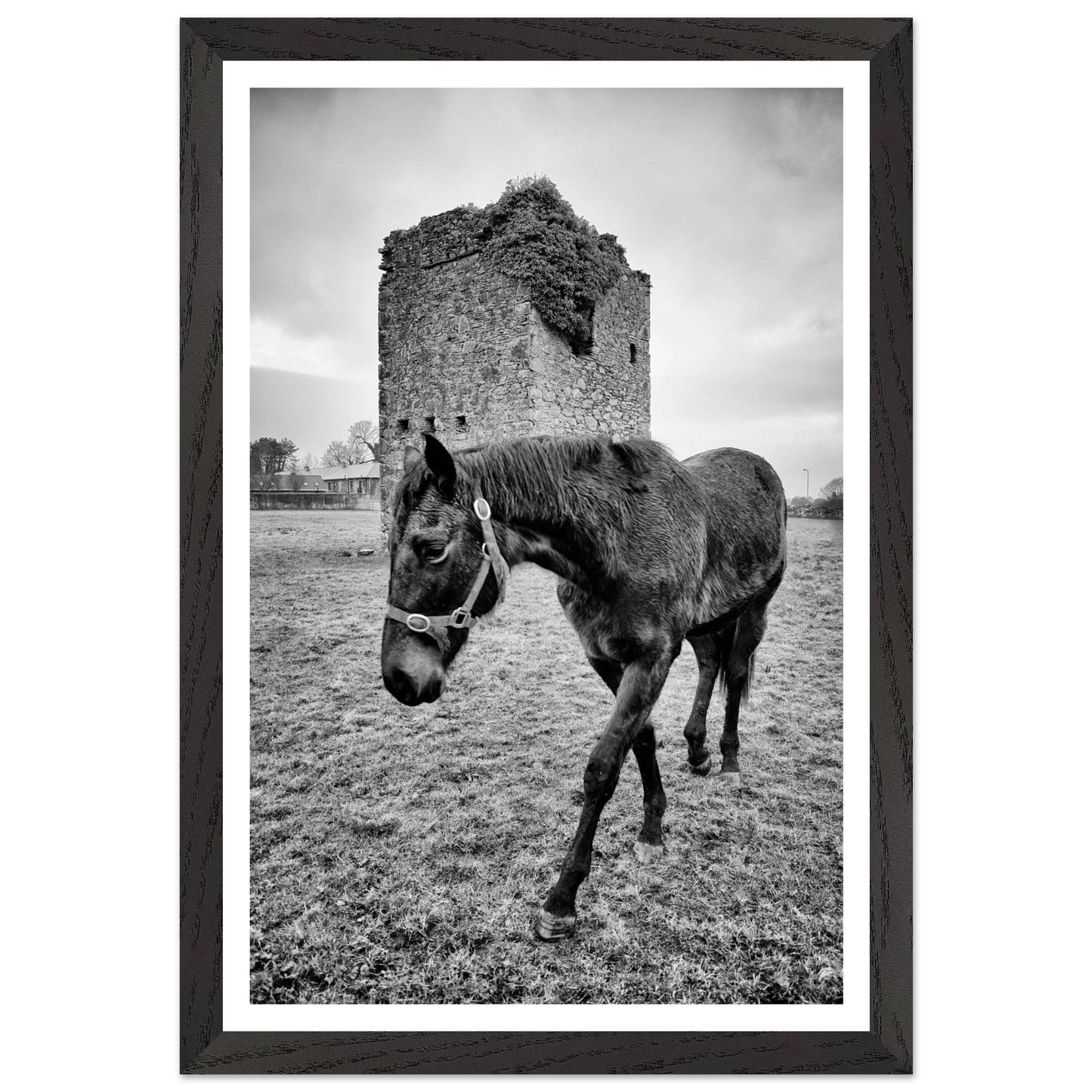 180f585c-b54d-405e-9698-69fa24deb4c6