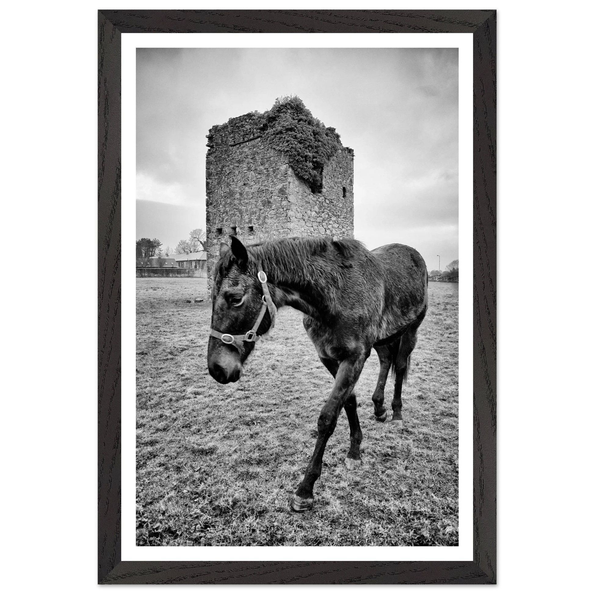 180f585c-b54d-405e-9698-69fa24deb4c6