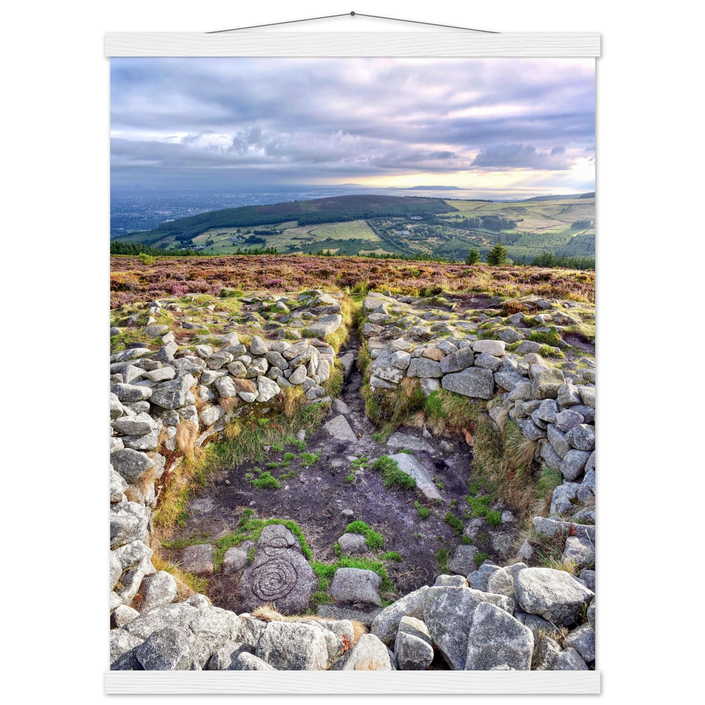 1859d8a4-a153-4ec0-acbf-6f2603fc4ac3