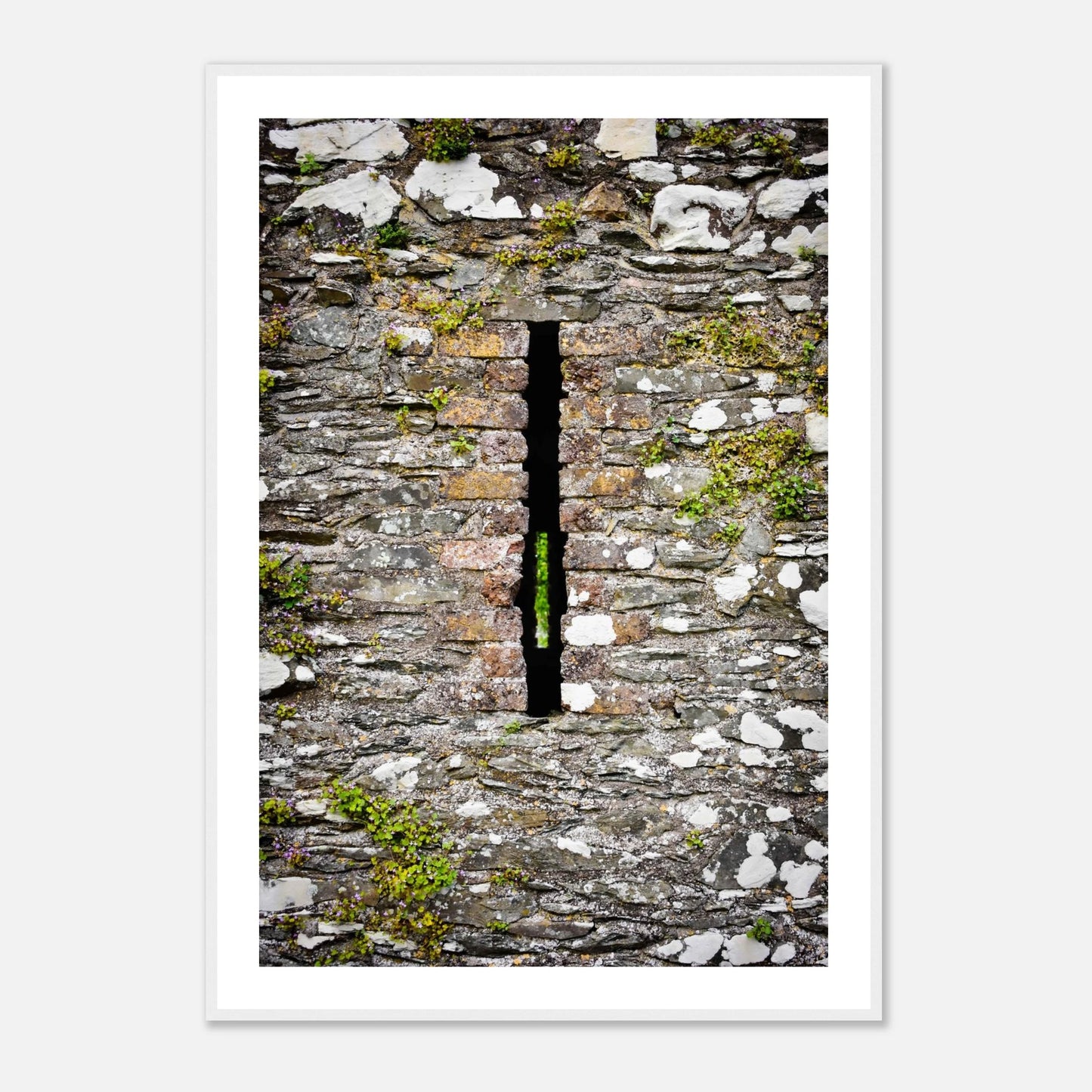 18bca623-bd22-4aaf-a07a-31c20a2263e0