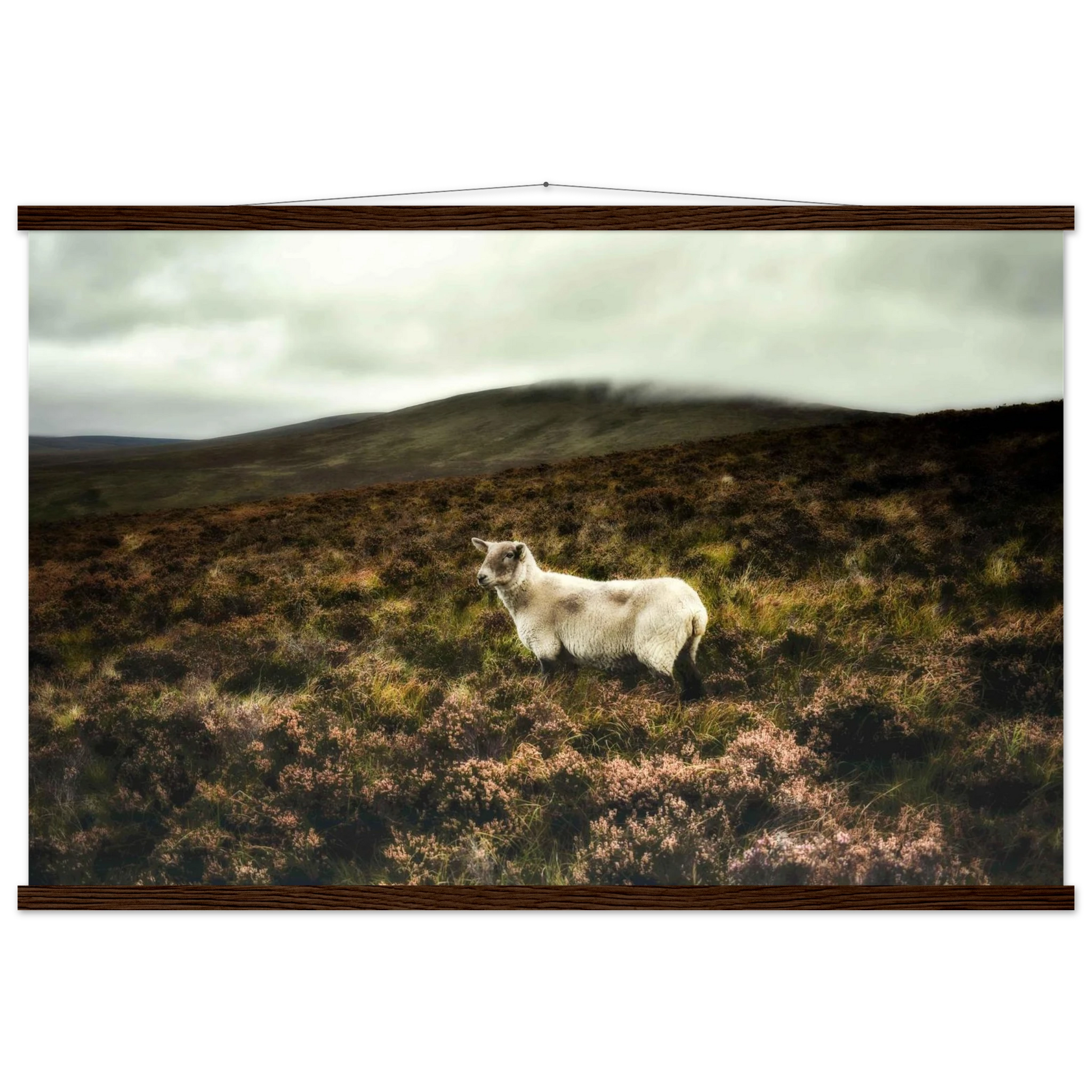 18fe82da-c222-4f37-96ec-2c4545222060