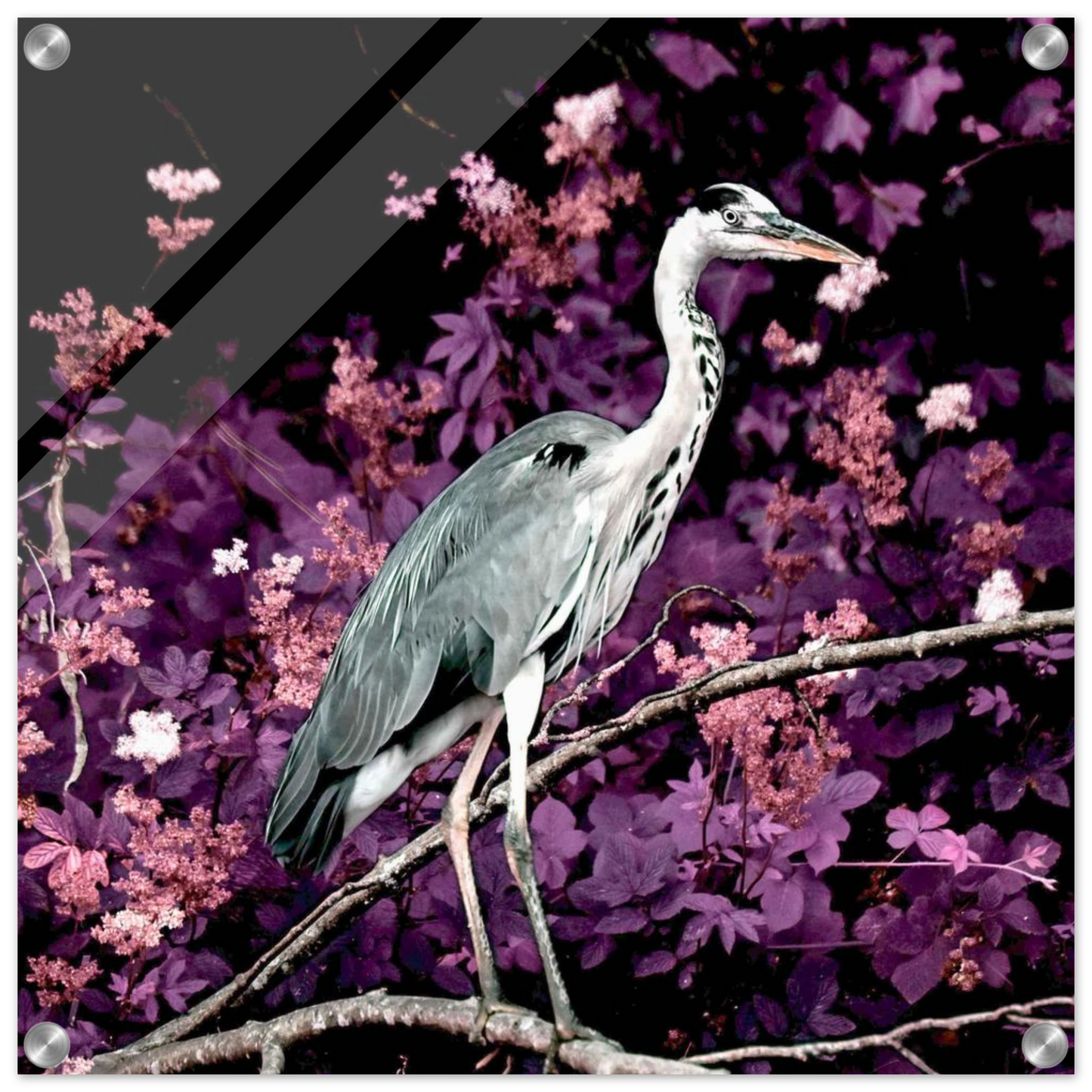 190e6bde-d3e2-4249-93ae-f75da222c514