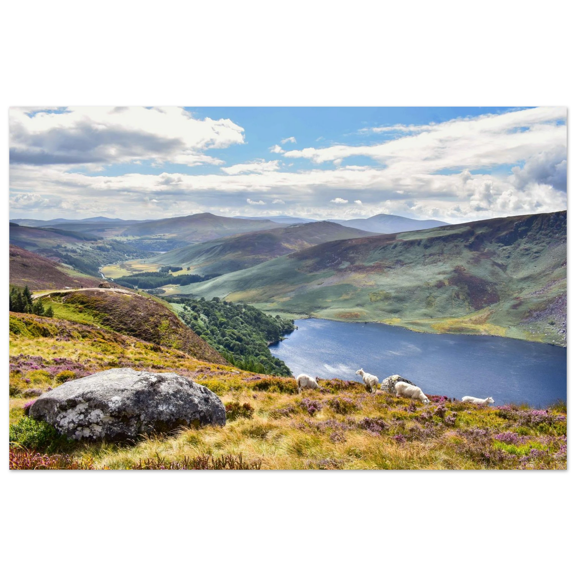 1947ee41-6711-47ba-8f52-38da9c0055ac