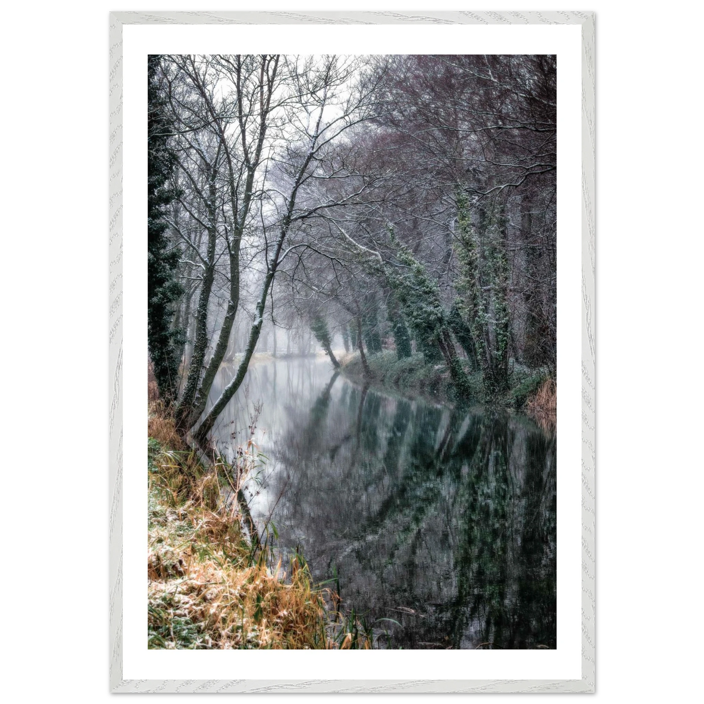 195a4266-3f3a-4e39-bdff-d481c80b989c