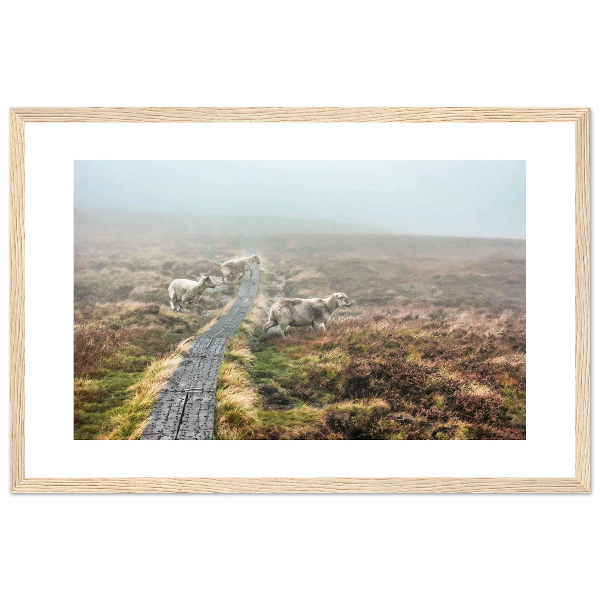 19be73cf-c4ac-4ae1-b7b6-2094aa15e303