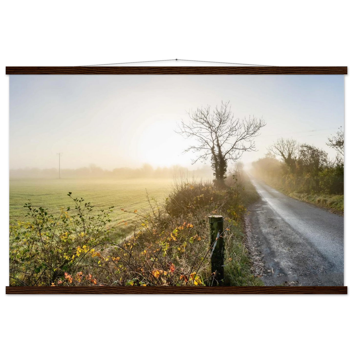 19cadfb4-dd30-4be5-810d-fa229d306465