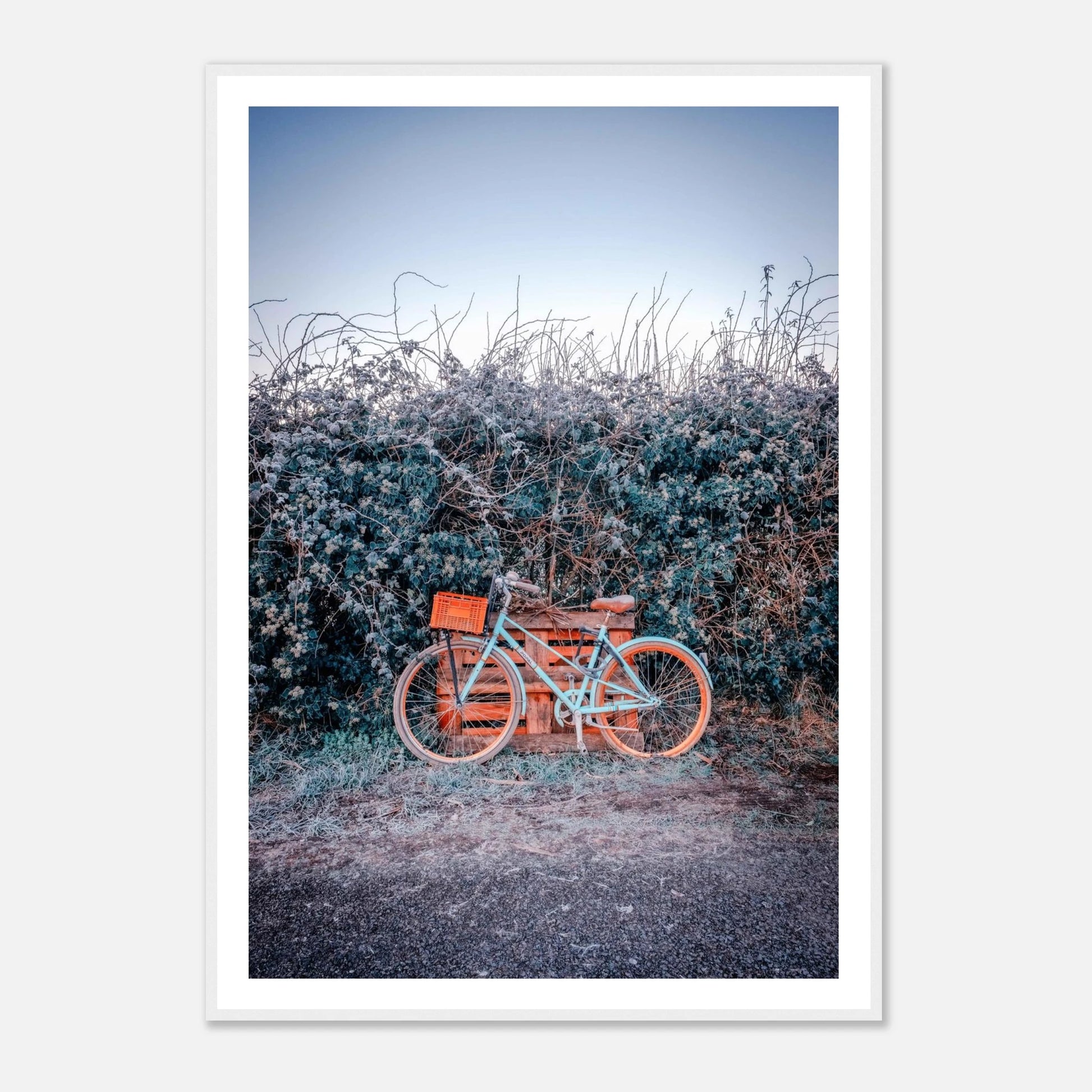 19e6aac1-2265-4cff-86aa-78428eb0ece0