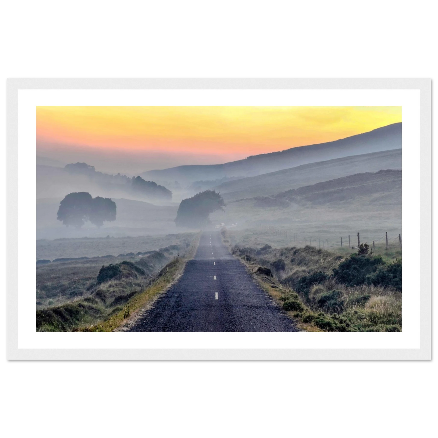 1abe888b-5f04-48d0-9524-d7620b8bae8b