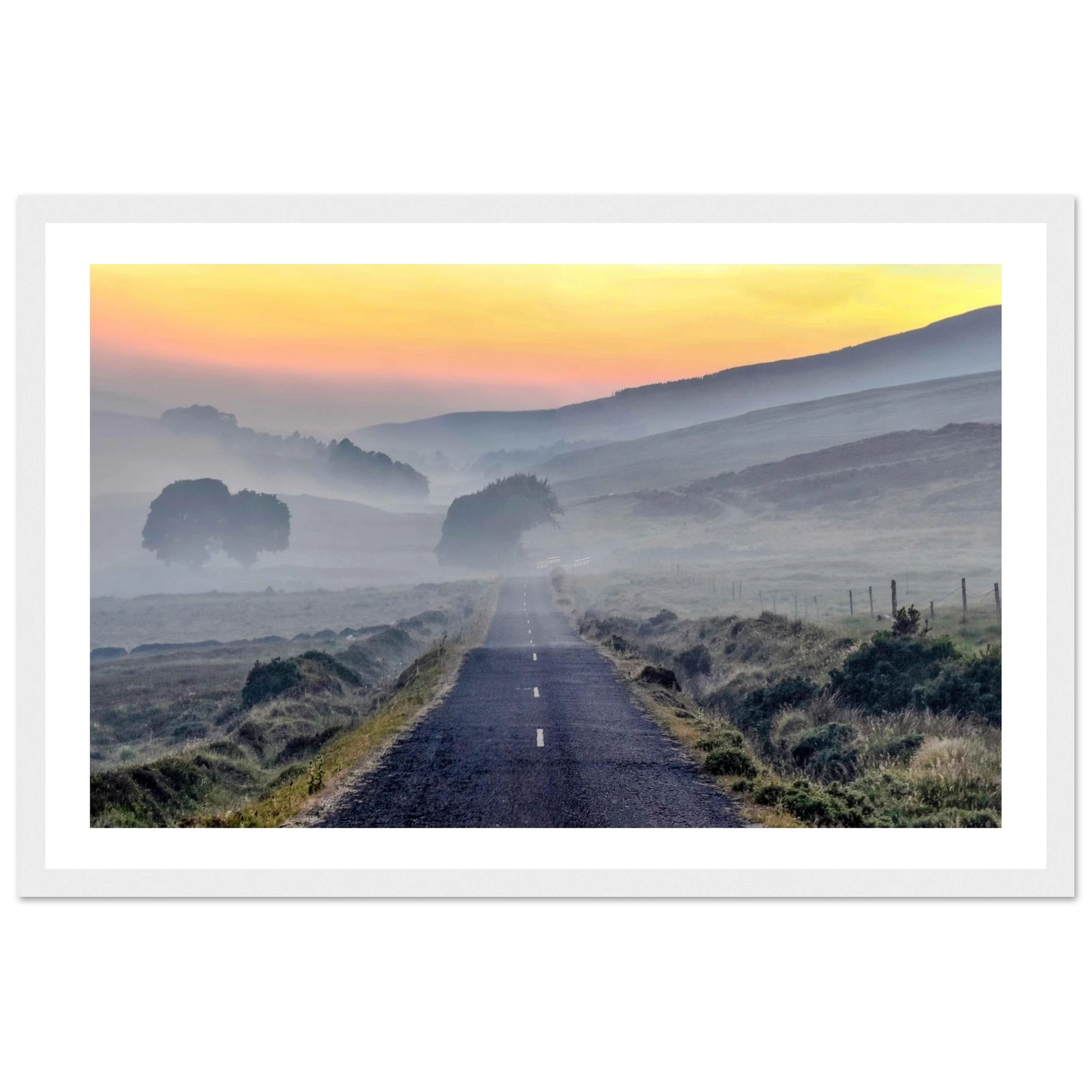 1abe888b-5f04-48d0-9524-d7620b8bae8b