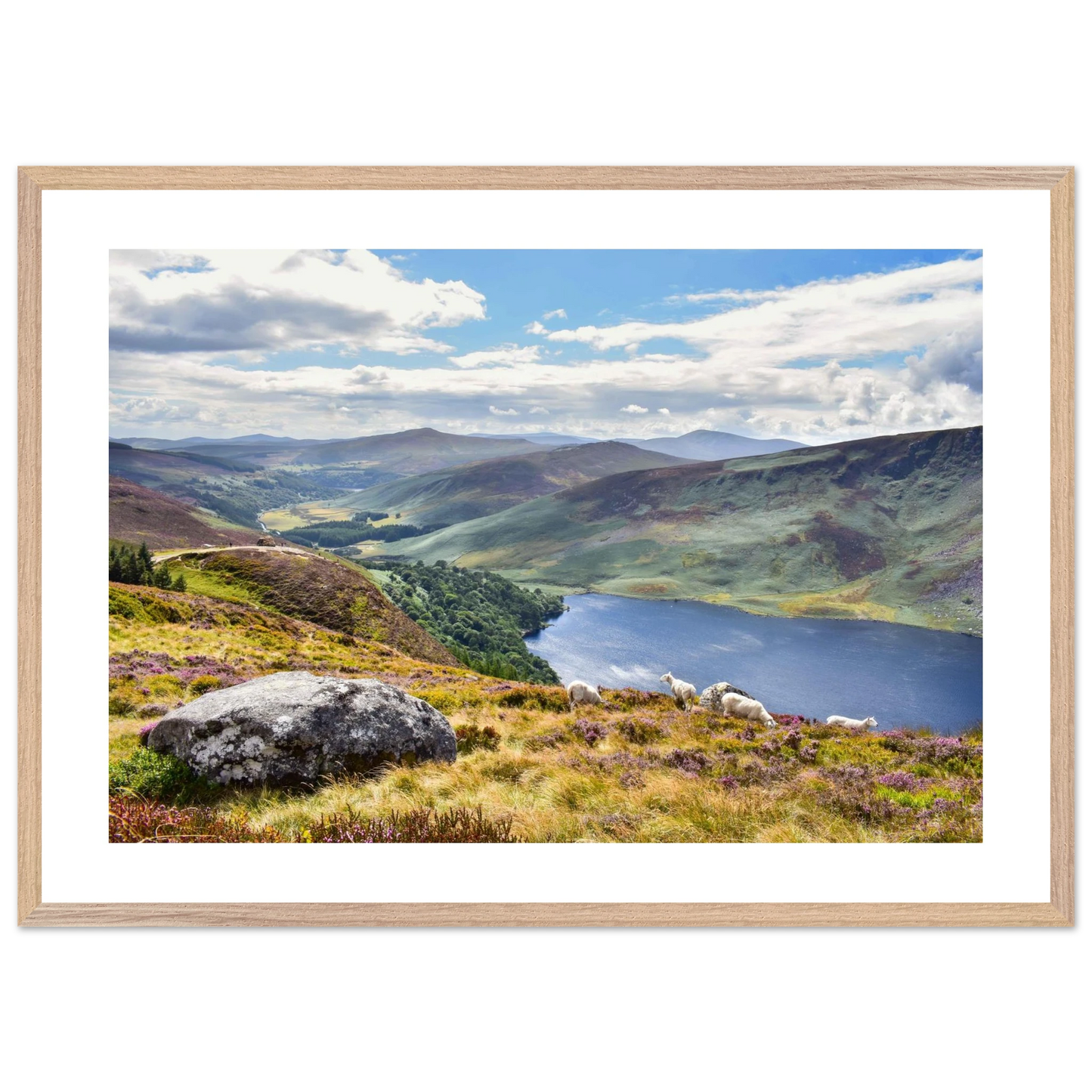 1b259c04-f86c-4e09-baf6-5cc8d5c70e39