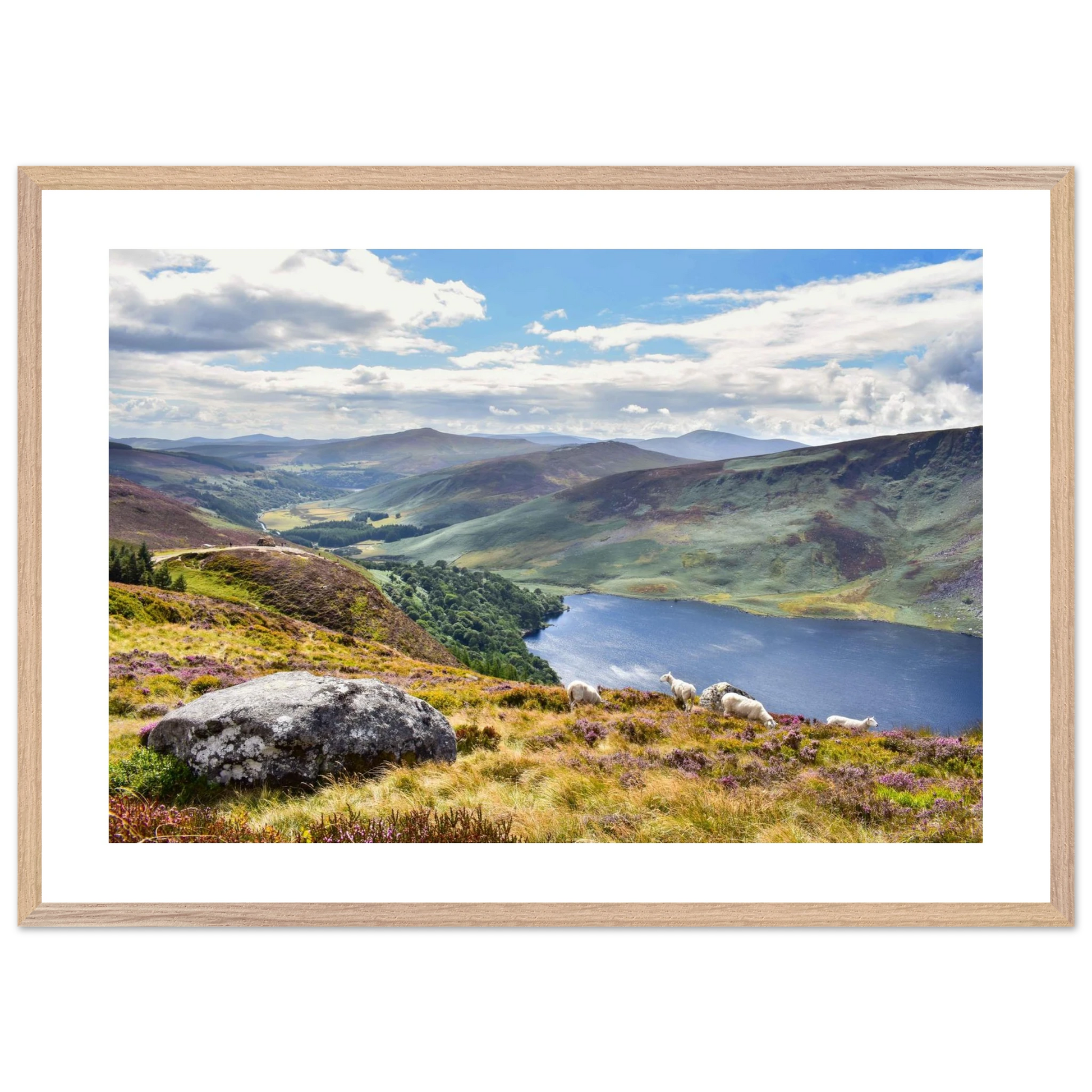 1b259c04-f86c-4e09-baf6-5cc8d5c70e39