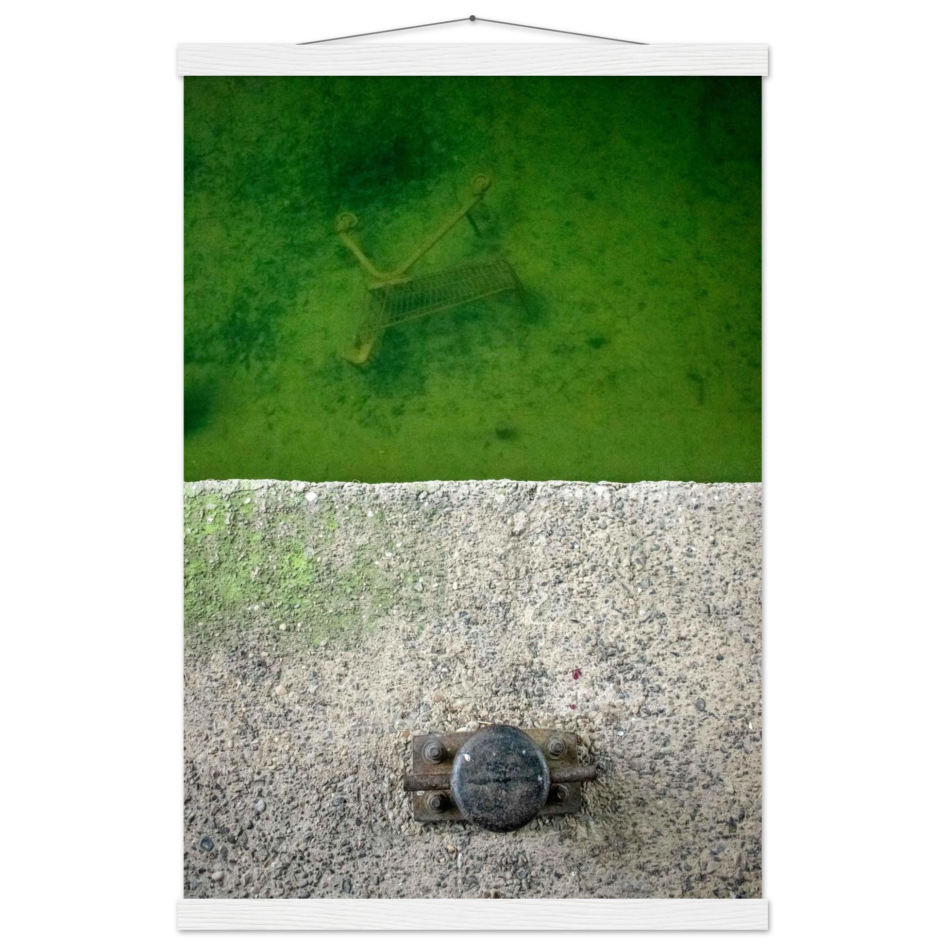 1c220cff-bdb8-46dd-b241-2d7049109207