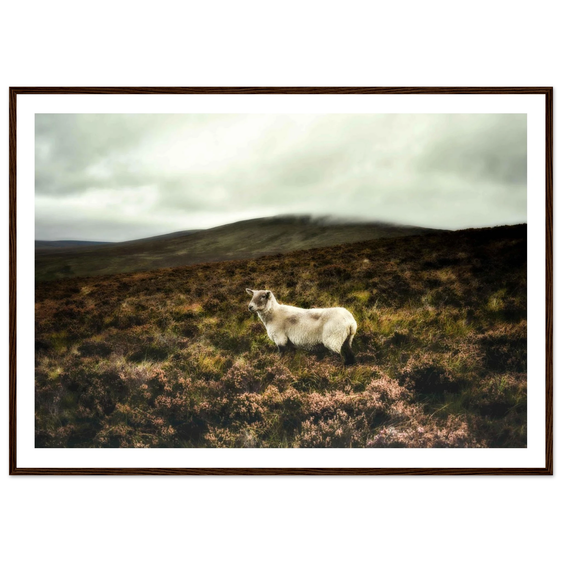 1c41379b-649c-4d0b-a4d9-5310a4c479f1