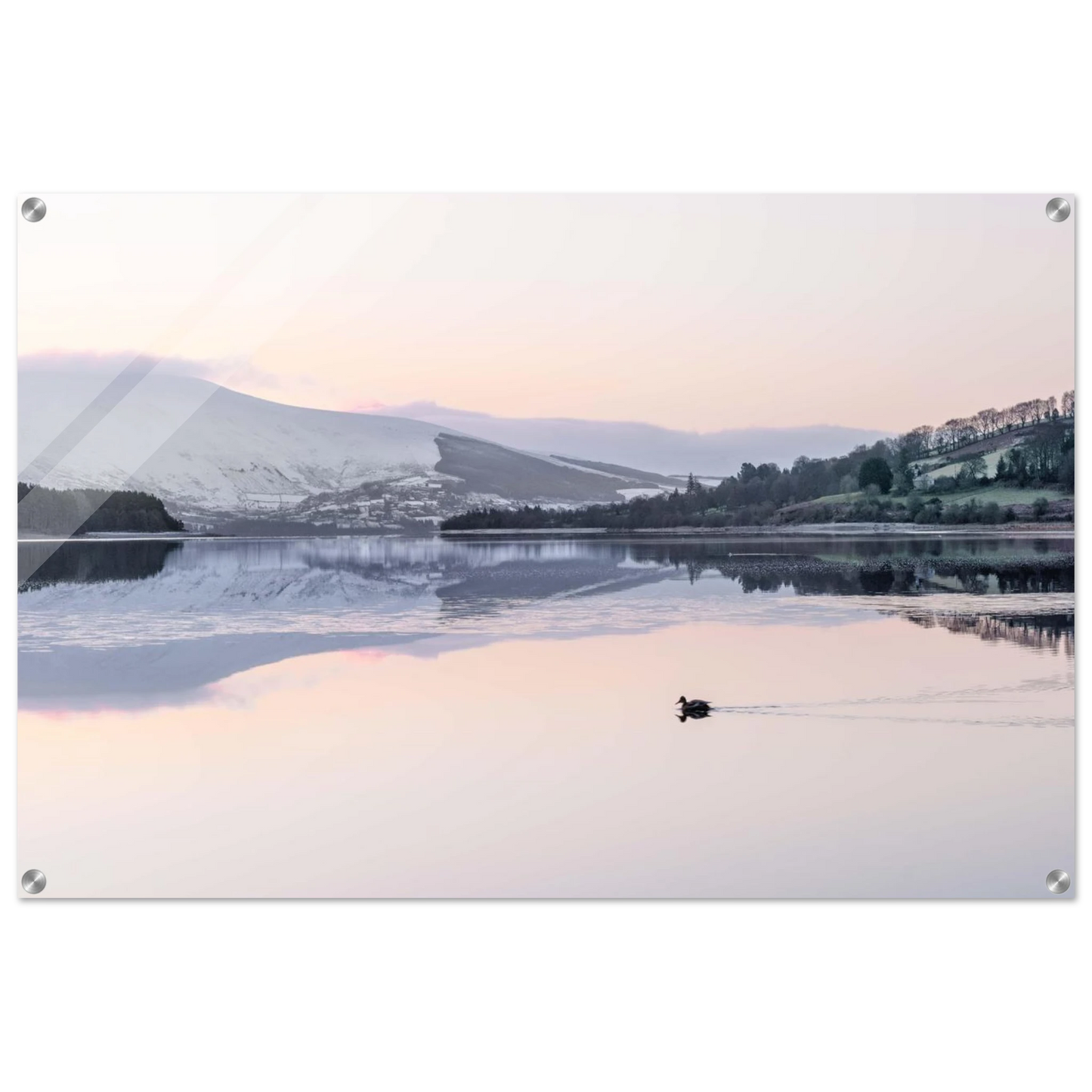 1cc15fdf-e12d-4432-b573-6b5c7af5f356