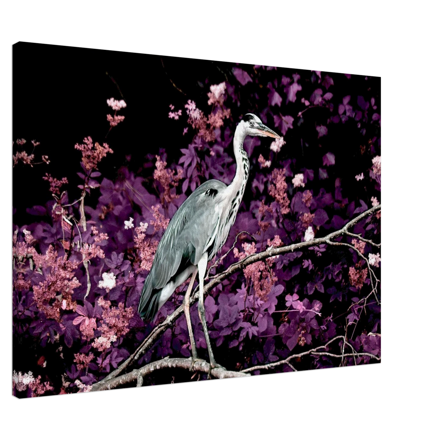 1cd6b154-d53b-4298-841d-ac240e62bb96