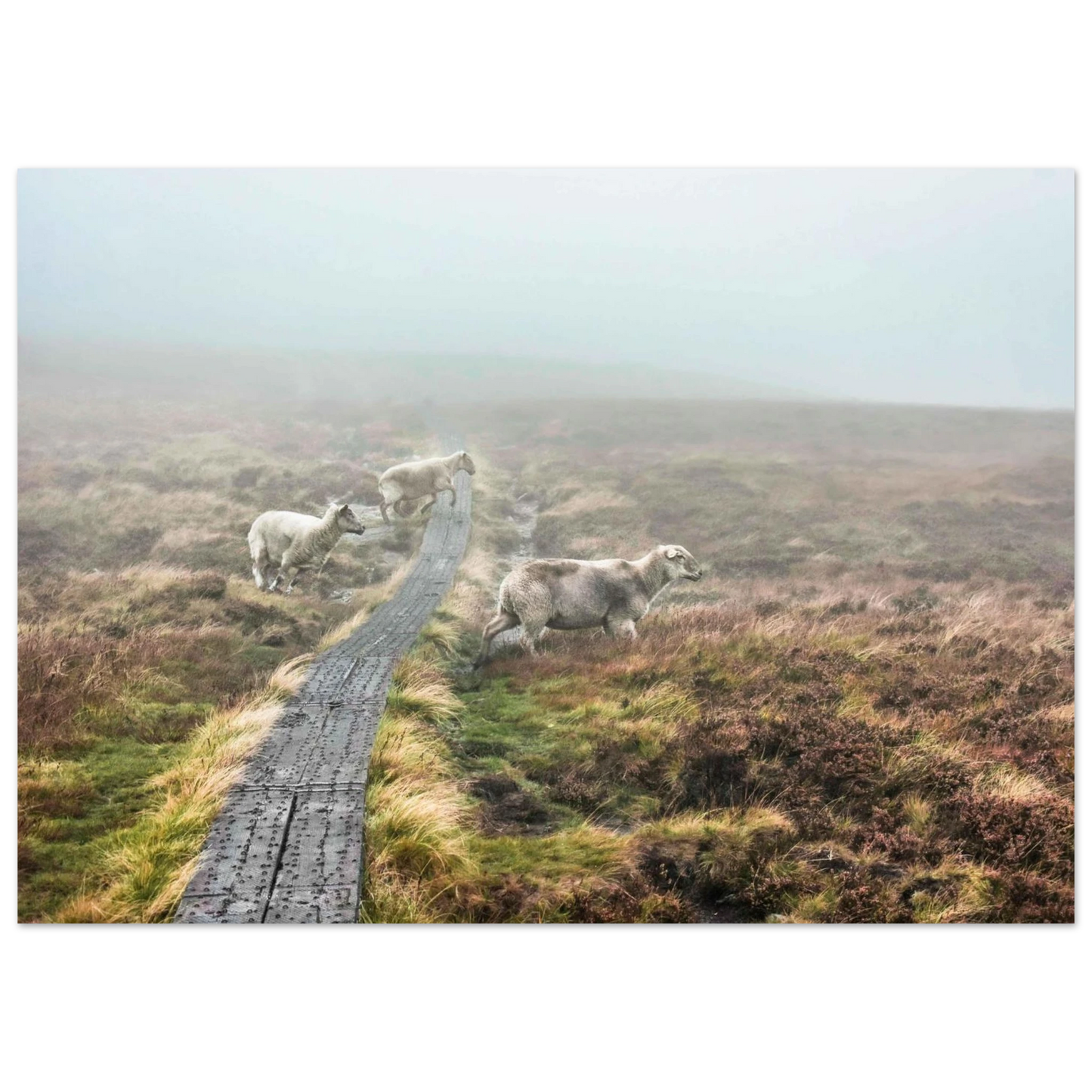 1cdb54f5-dd1b-486b-9978-1e04e1e49ef2