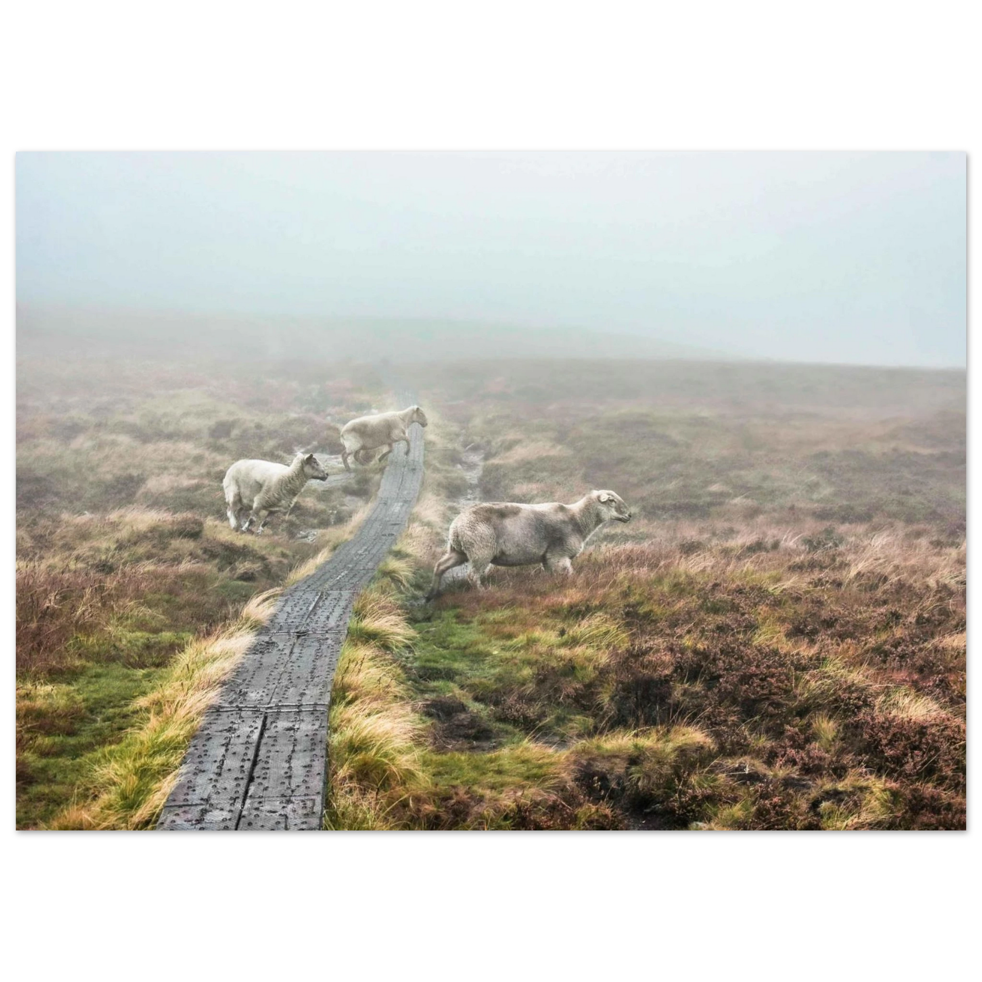 1cdb54f5-dd1b-486b-9978-1e04e1e49ef2