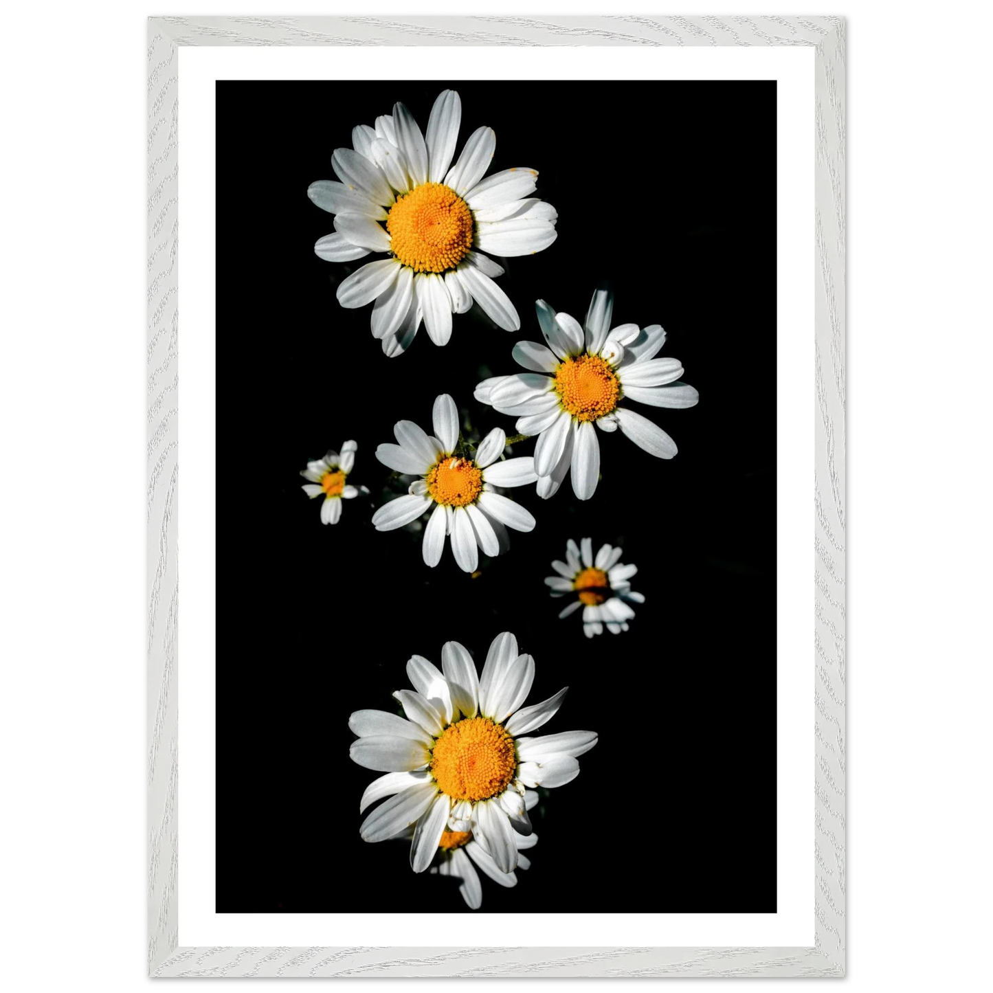 1d339663-3951-429a-b875-1a63f62b781d