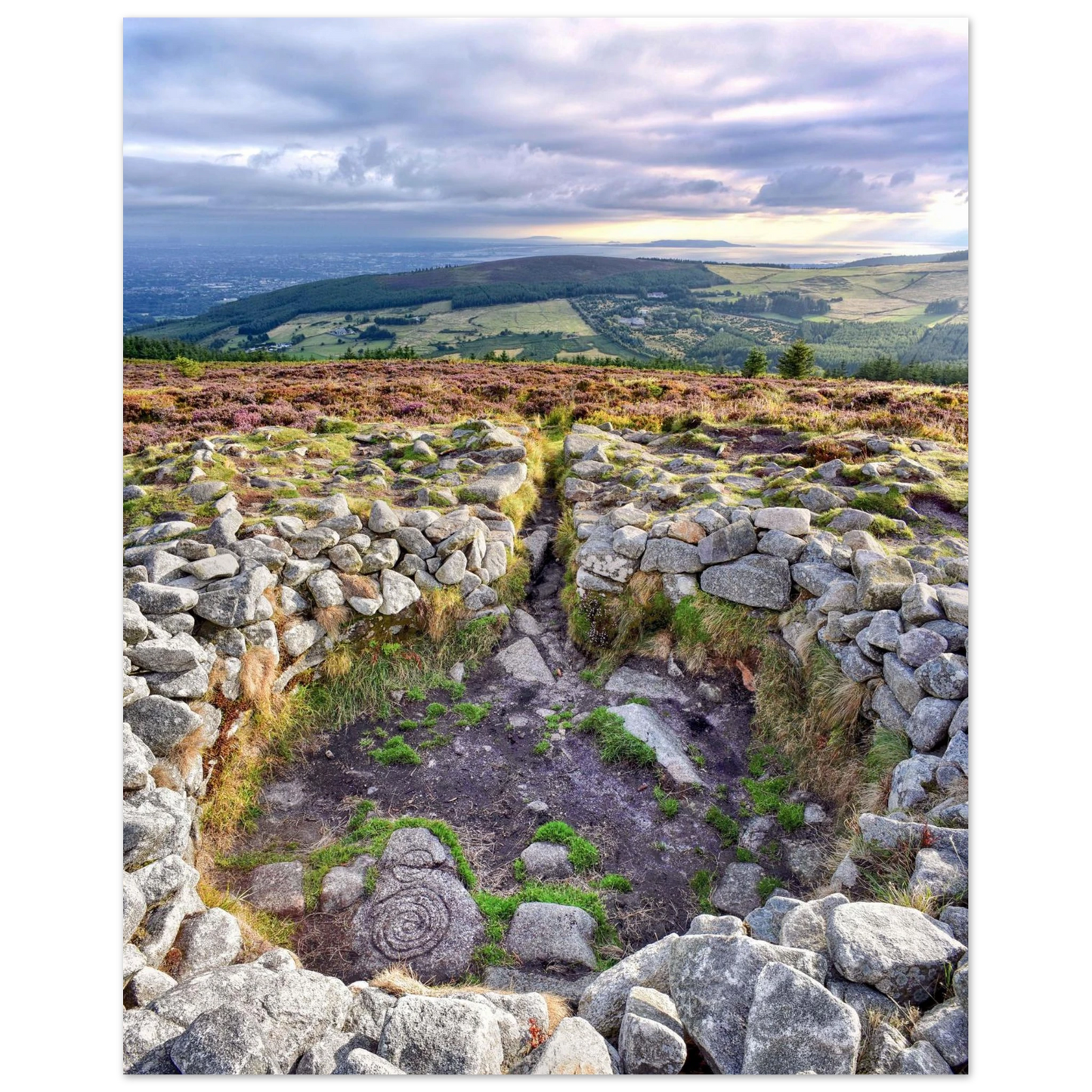 1de26be4-974a-4410-b31d-1f621948fbd0