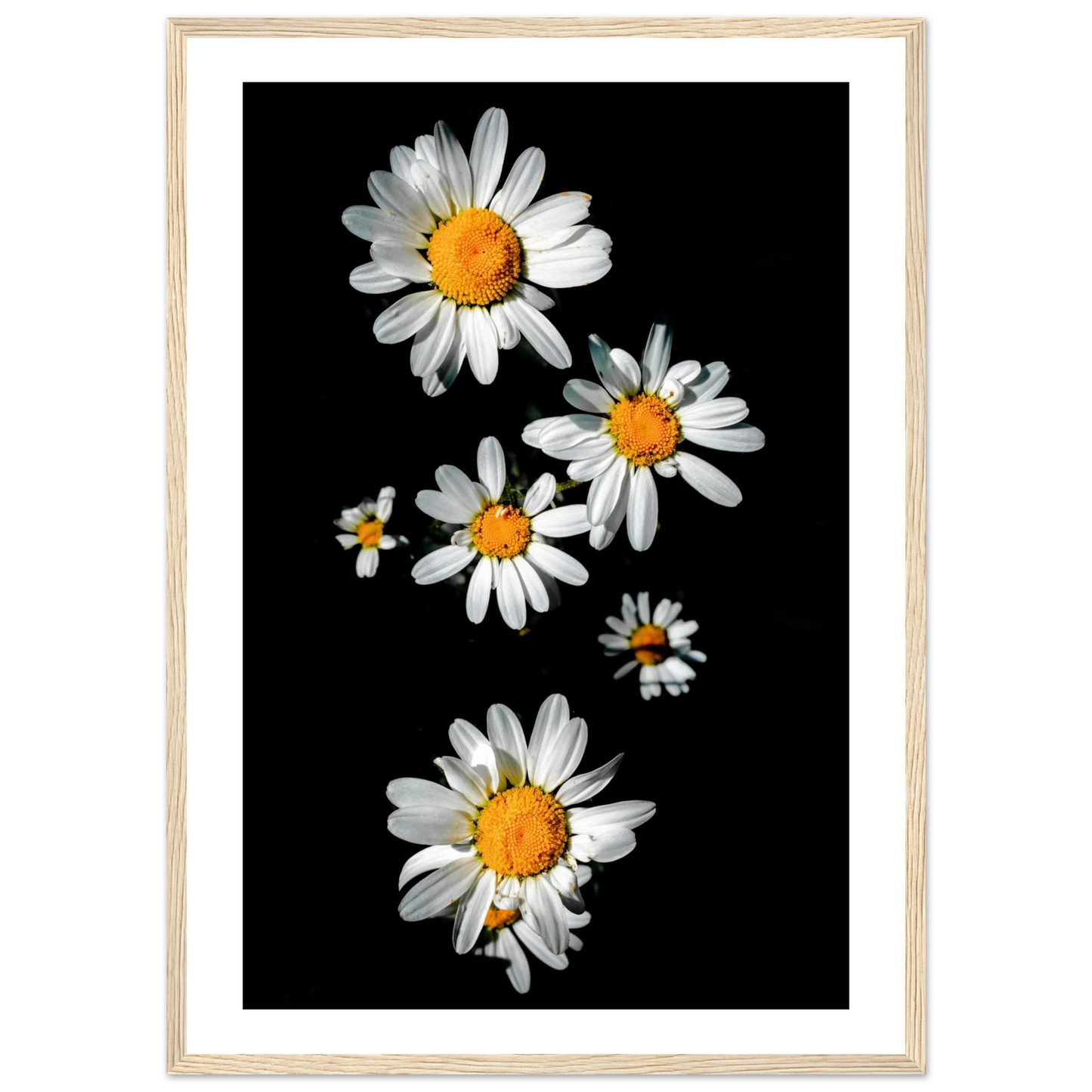 1e37fad6-37c2-44ba-b5b5-3ed0c7f06e4c