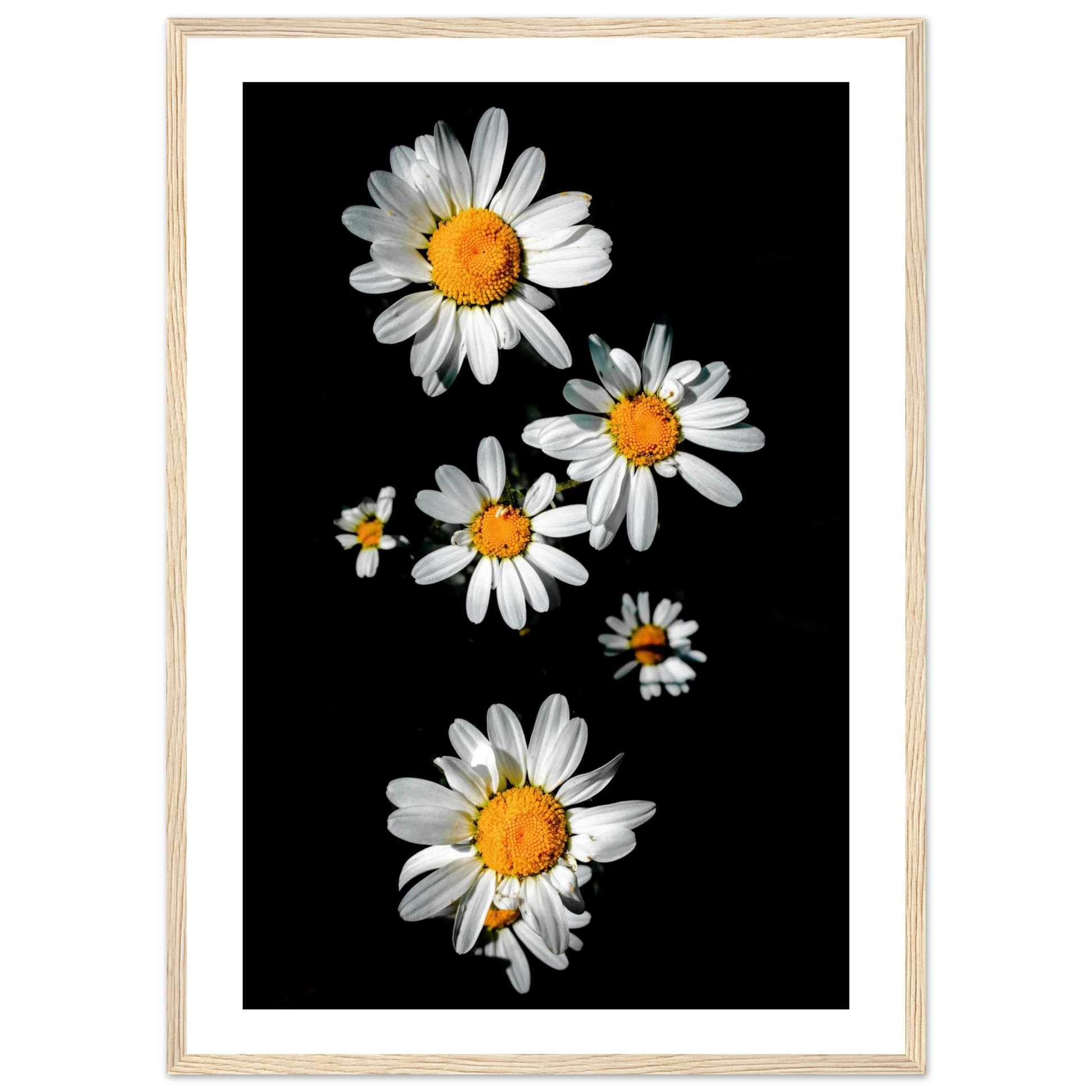 1e37fad6-37c2-44ba-b5b5-3ed0c7f06e4c