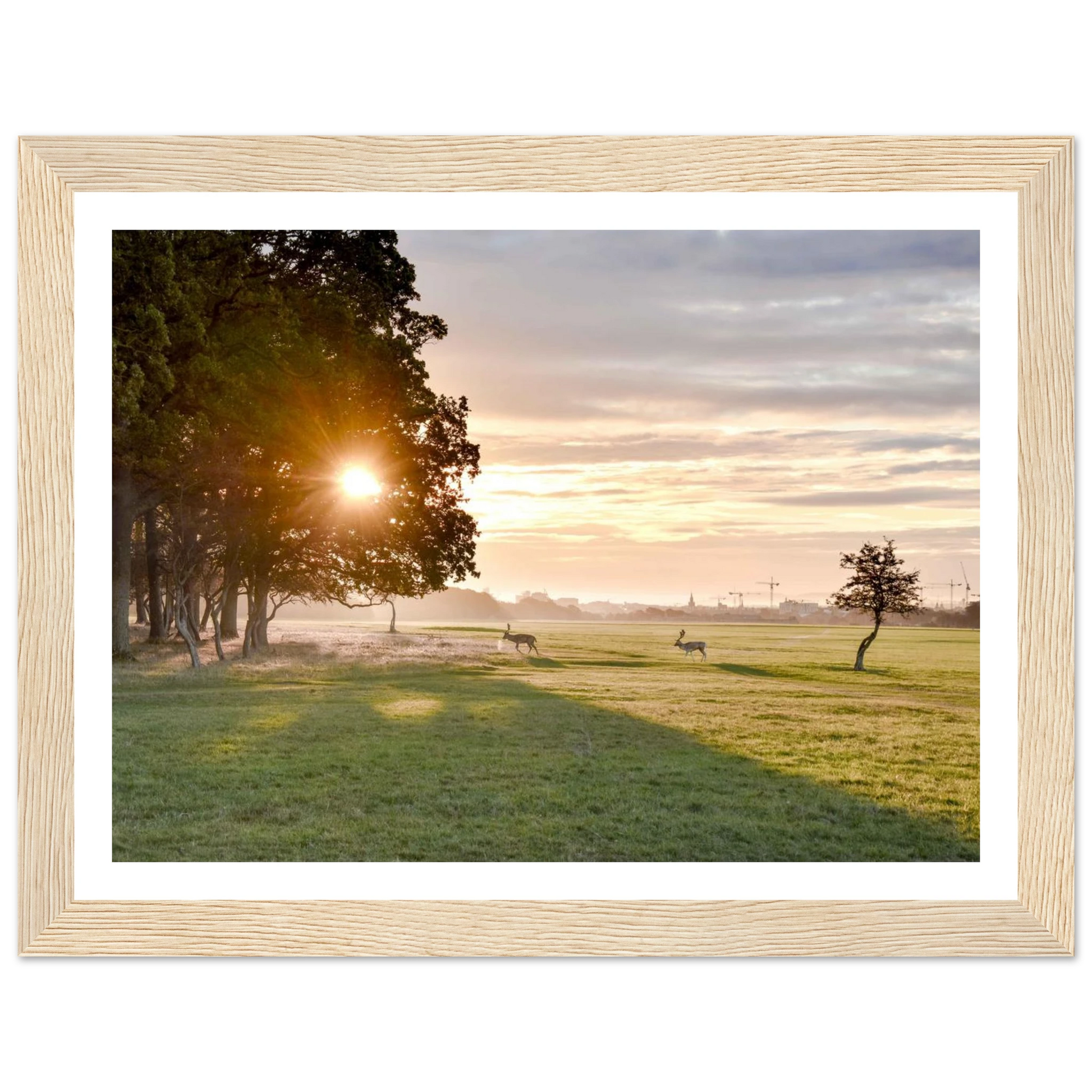 1e7ce451-b98a-47dd-8aa6-faad4f1b6902