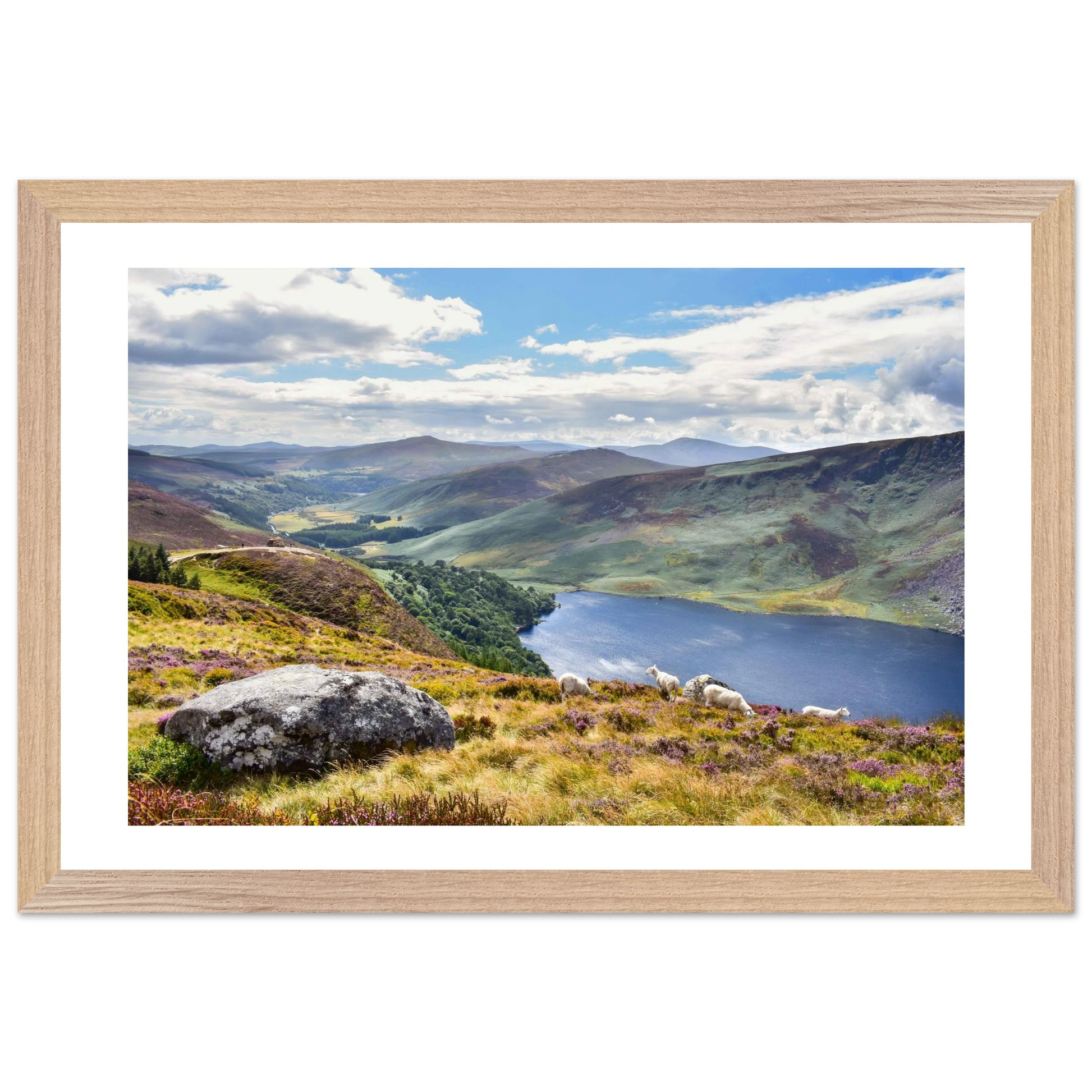 1e8a6d85-f0be-49fb-882b-dd3eb92a6bdd