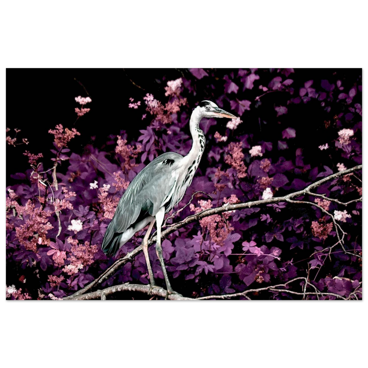 1eb7e6d1-b361-4304-84dc-2c24baed987f