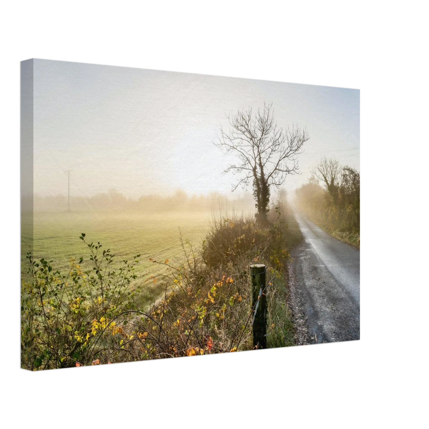 1ec53443-9bb6-44bc-a9c2-9ff7e8113545