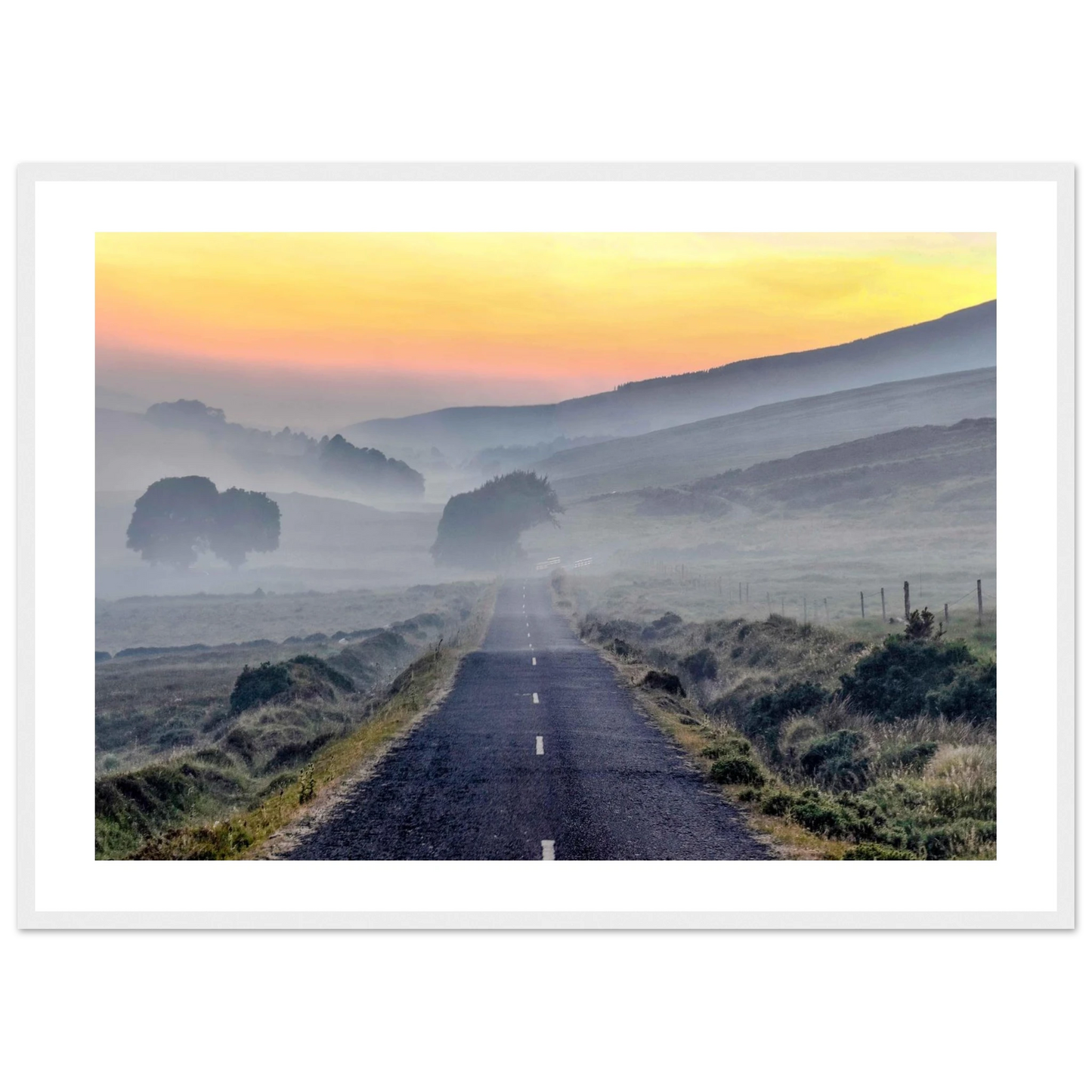 1f067d25-1d56-4814-beae-93b18f6c41d2