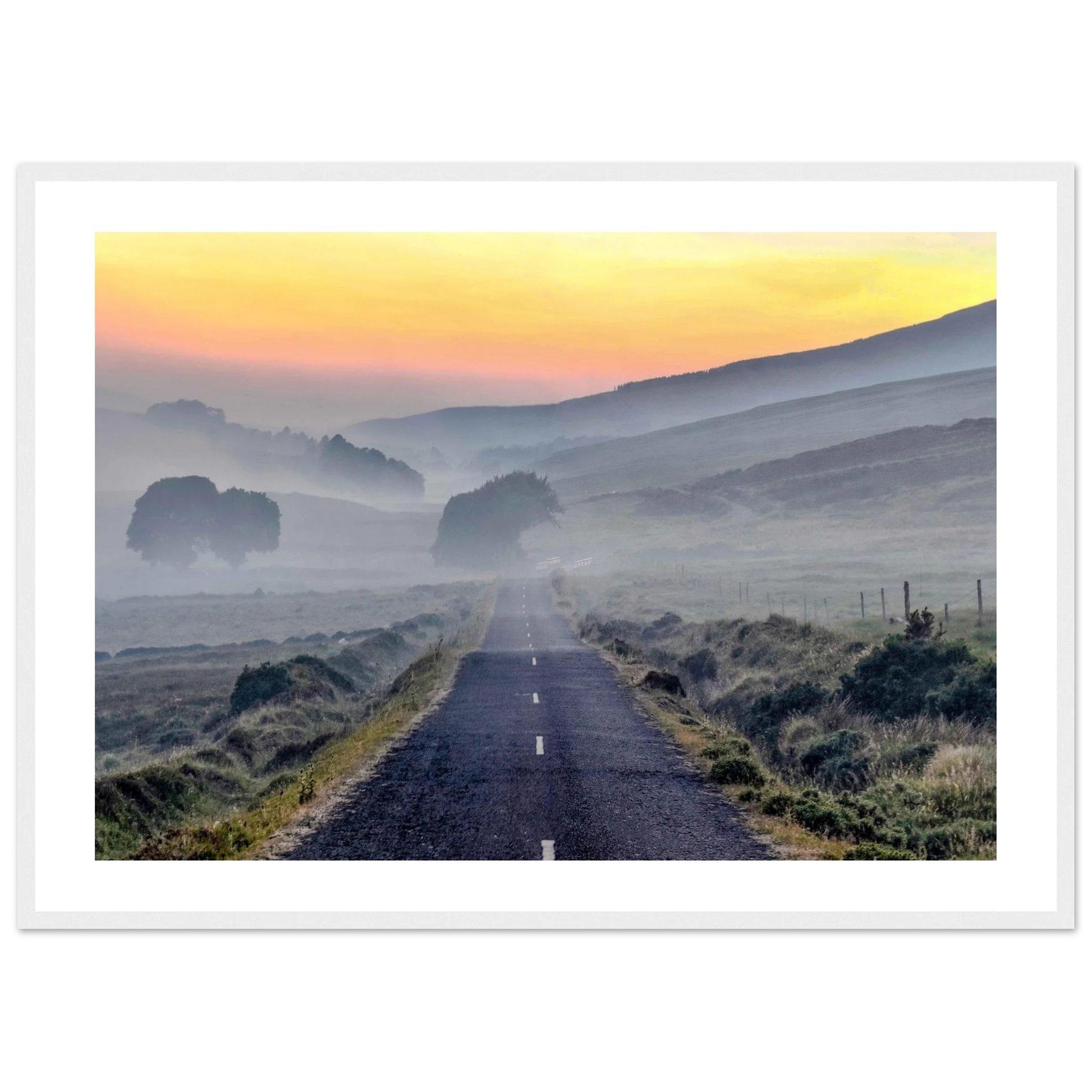 1f067d25-1d56-4814-beae-93b18f6c41d2