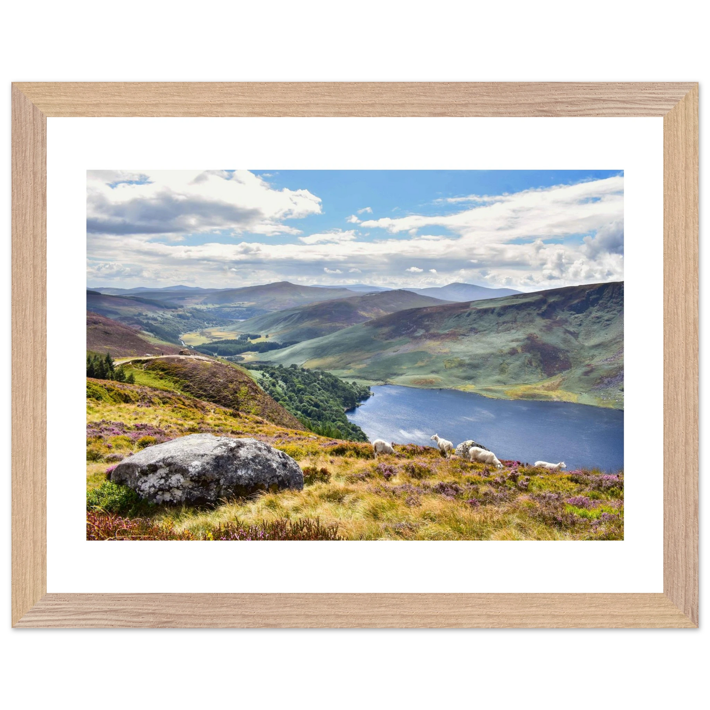 1f273fa5-fbc8-4220-aec2-eb5ceb9eee7f