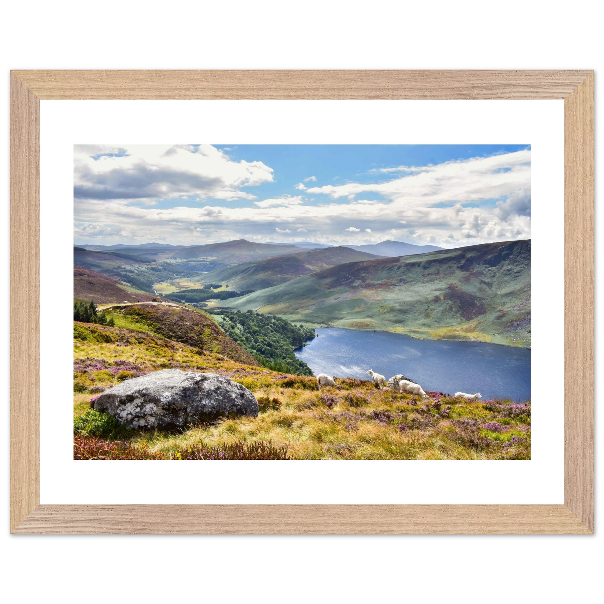 1f273fa5-fbc8-4220-aec2-eb5ceb9eee7f