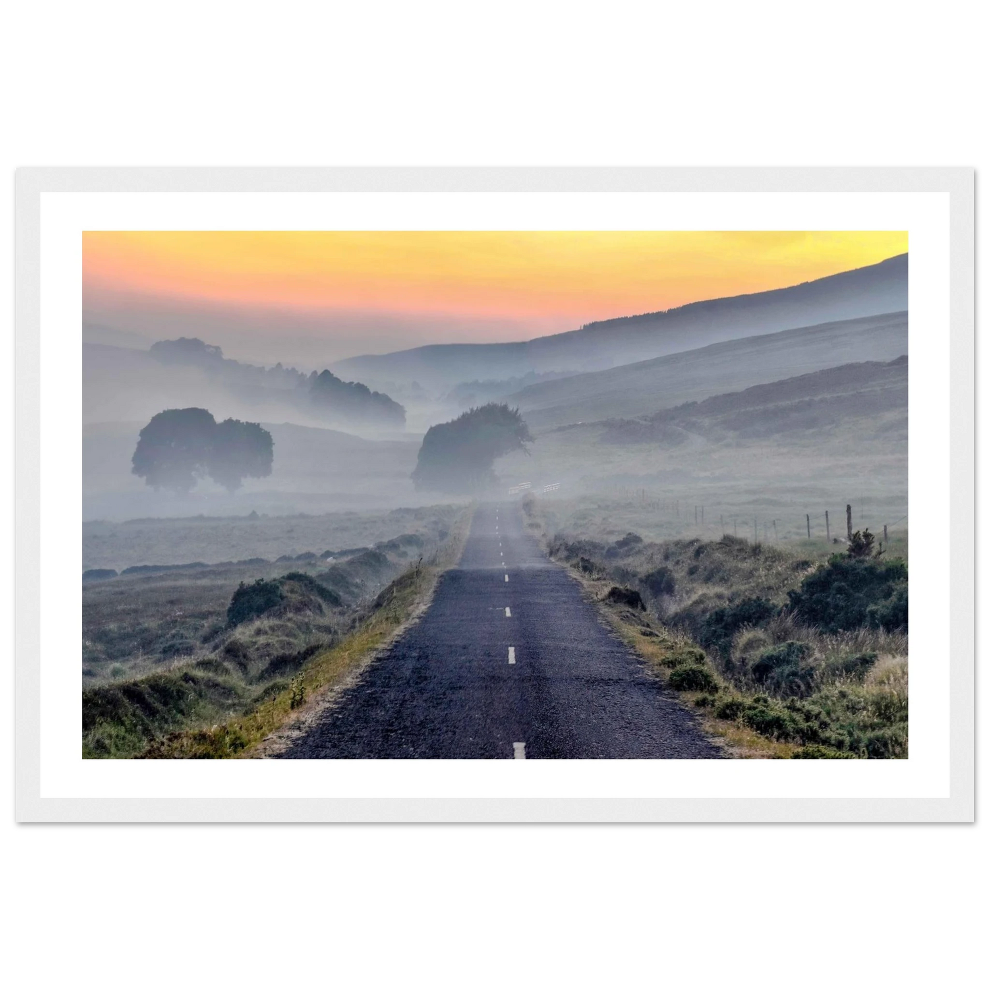 1f5789a7-f065-4d74-a394-fc3cb45c0fe5