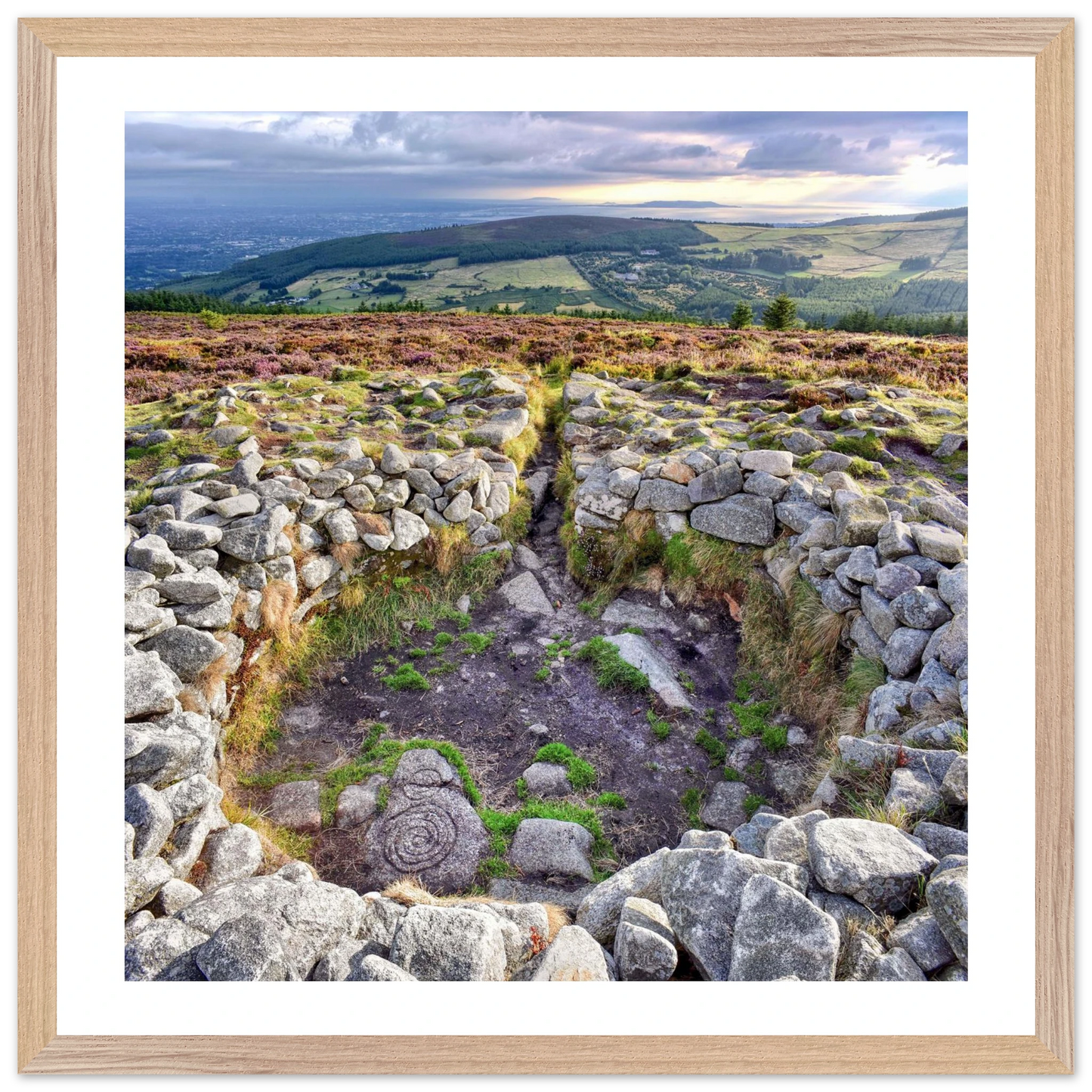 1f65bafc-25c0-48b5-b1ed-75ab9a01f5c0