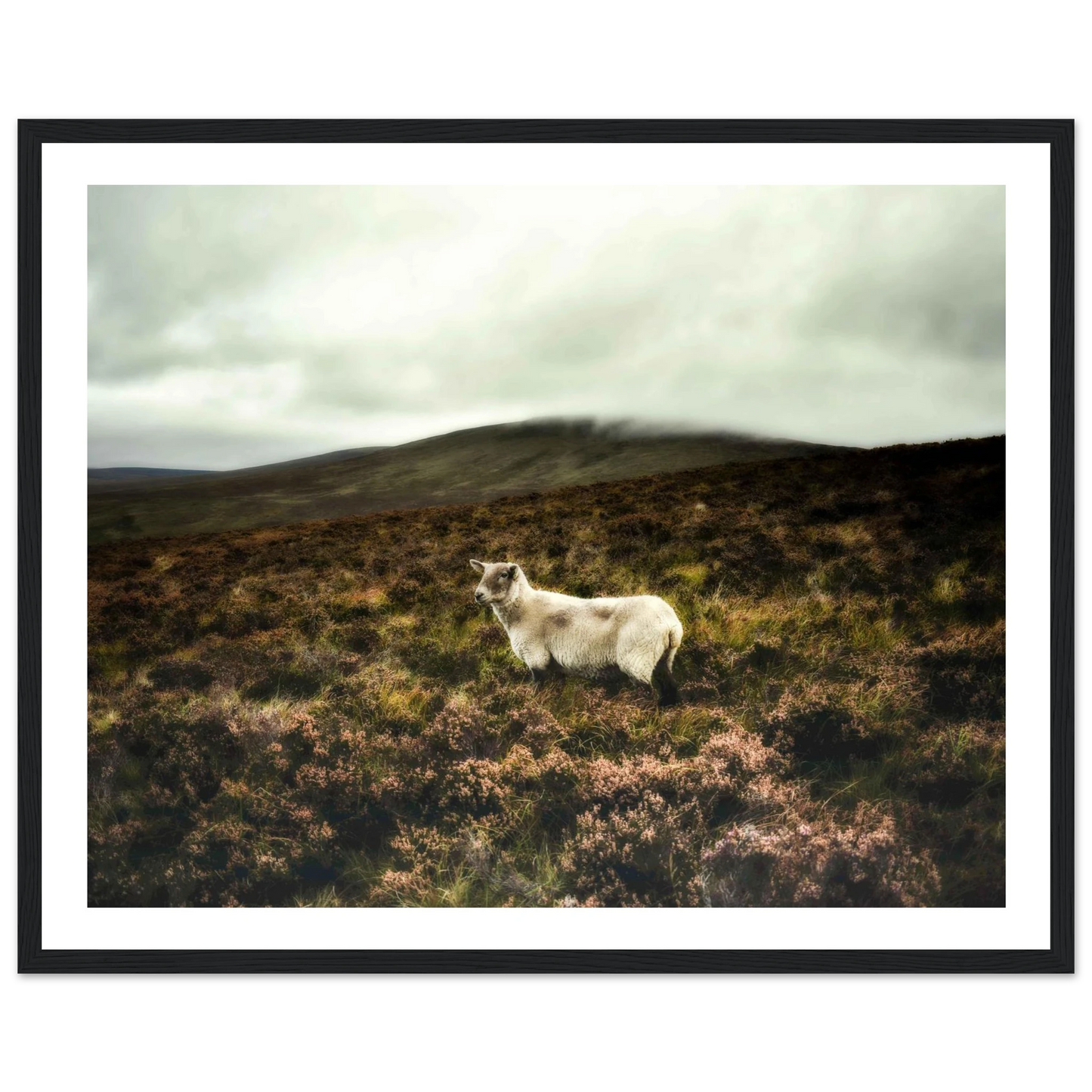 1fbe506c-4dbc-4e51-9342-dc15df4b486a