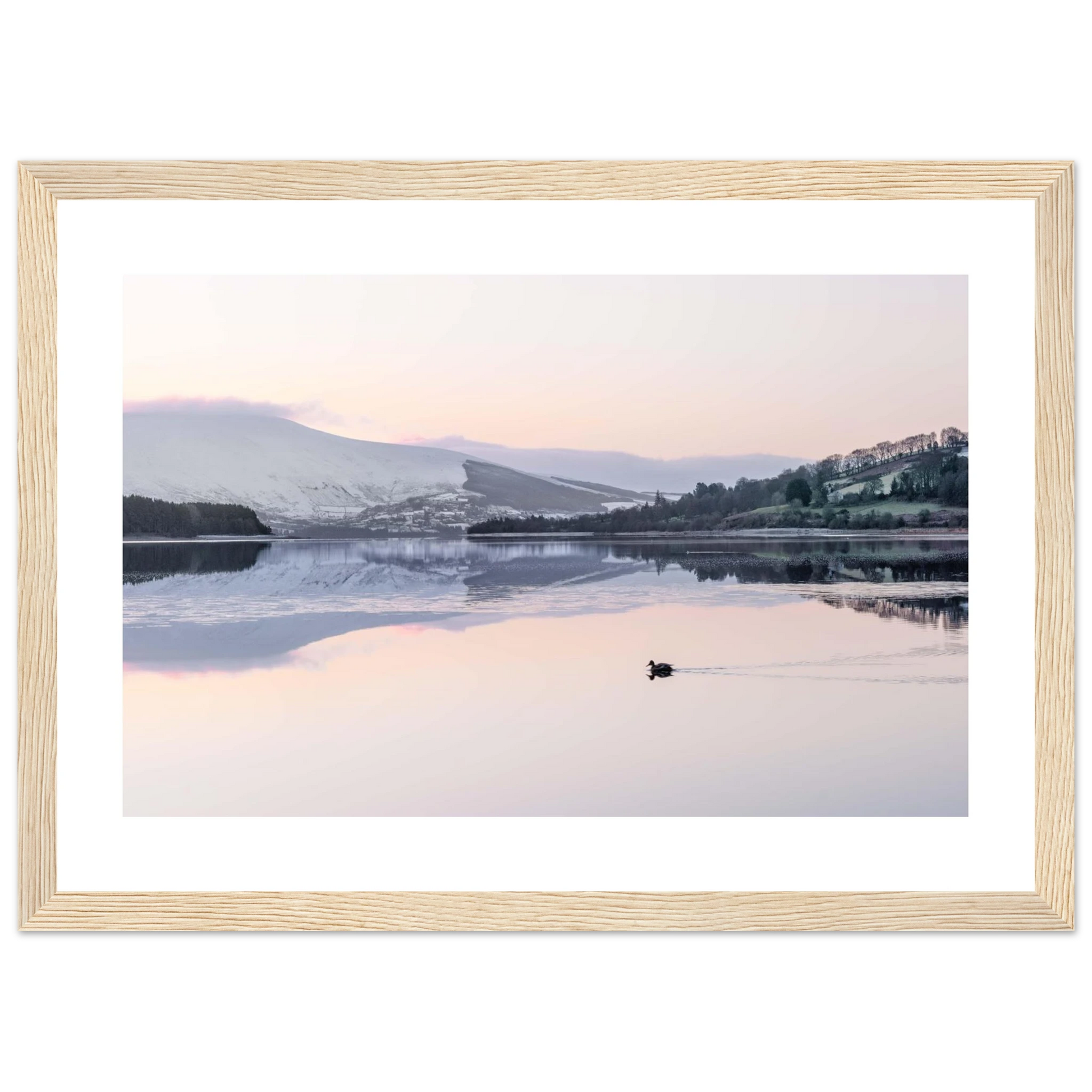 1fc66373-154e-4a52-95f7-0783ba0dd35c